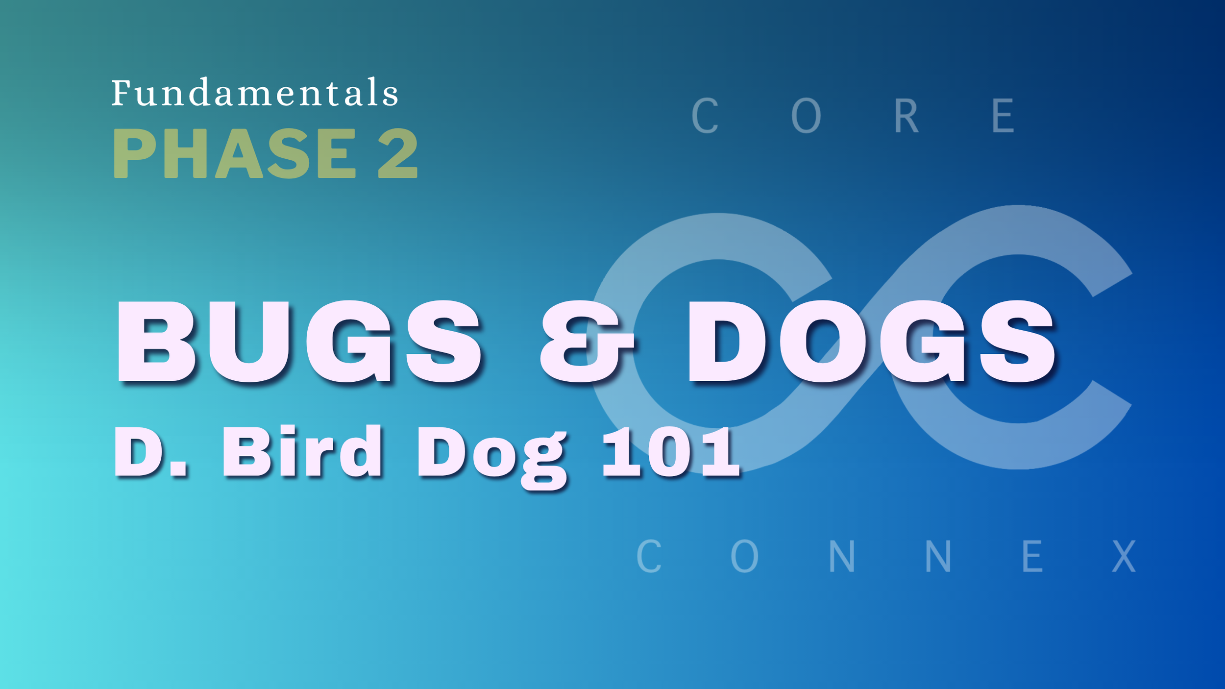 D. Bird Dog Intro - CC Fundamentals | 8 min