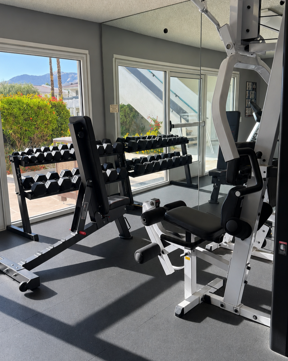 Gym with dumbbells, weight machine, and large windows showing outdoor scenery with bushes, trees, and mountains.