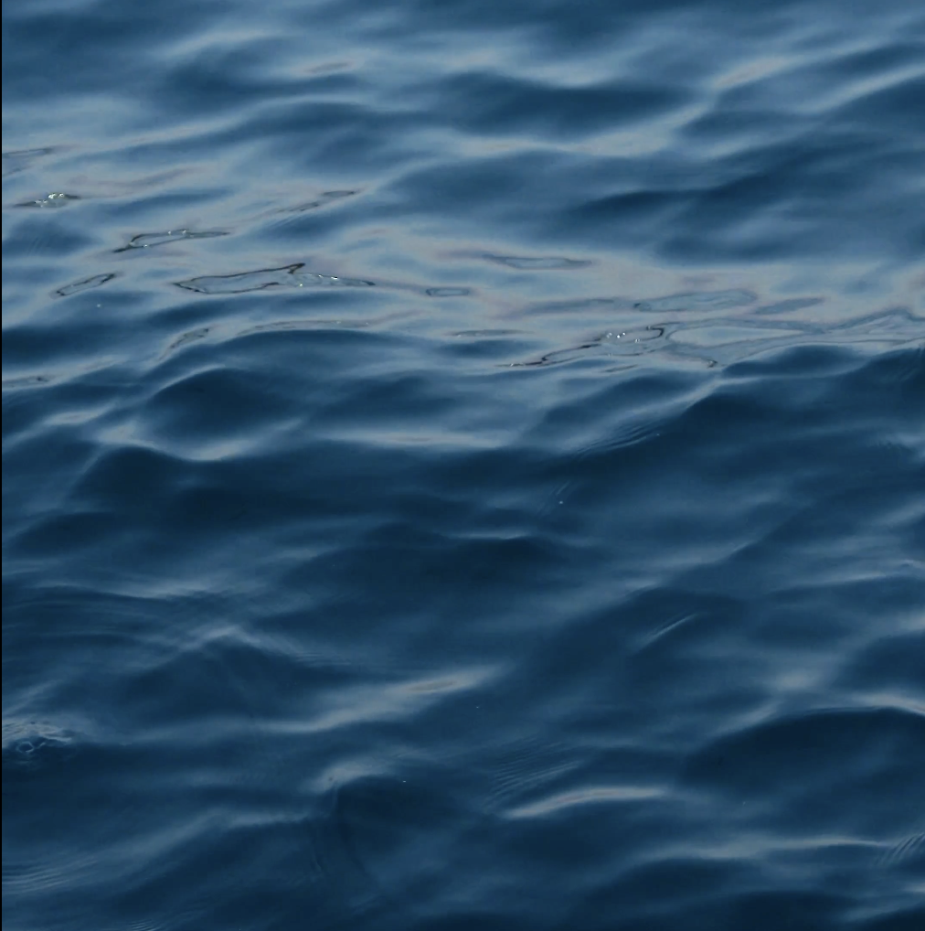 Screenshot 2026-09-21 at 11.03.27 PM.png