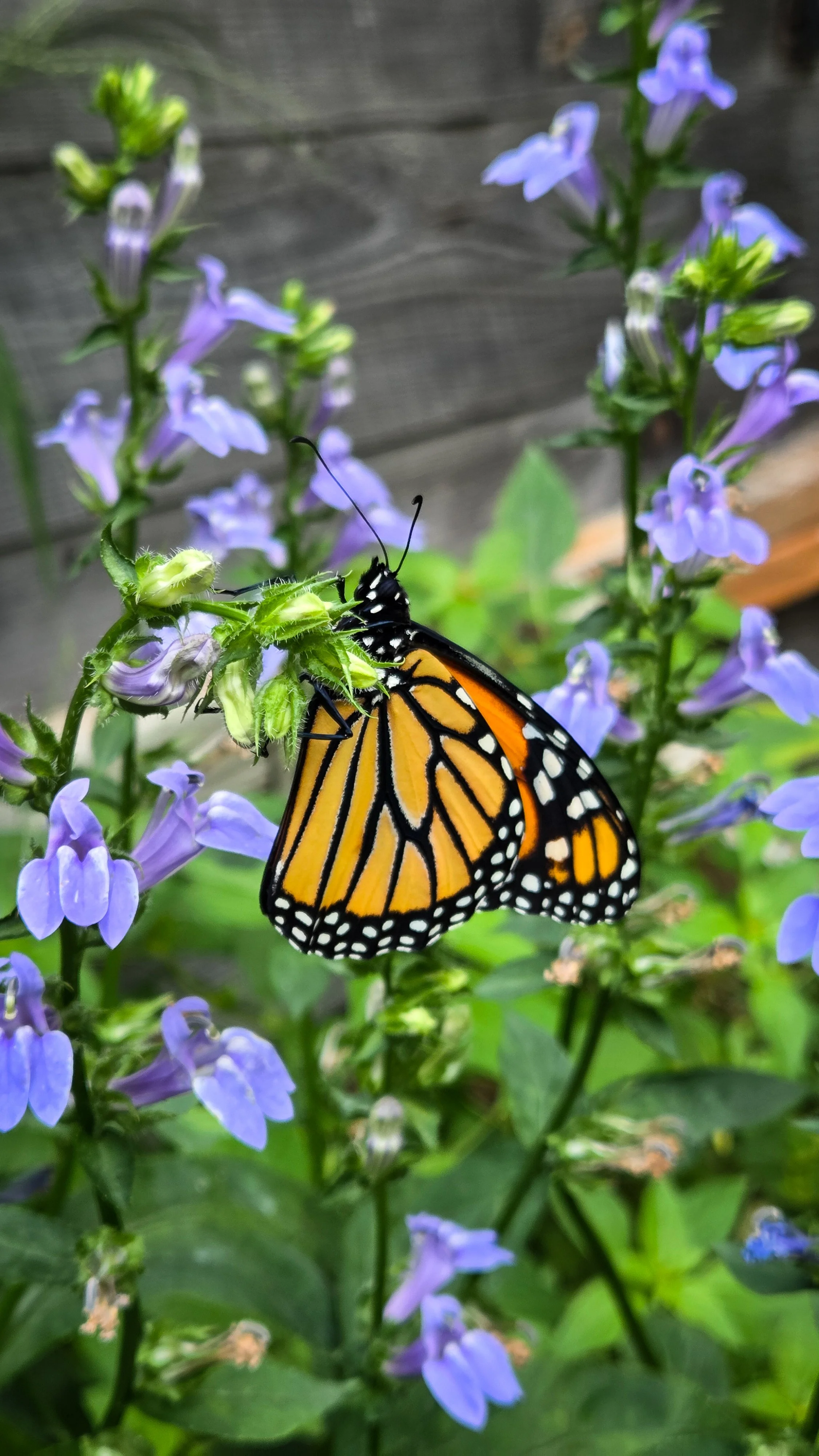 20260901_172417.jpg