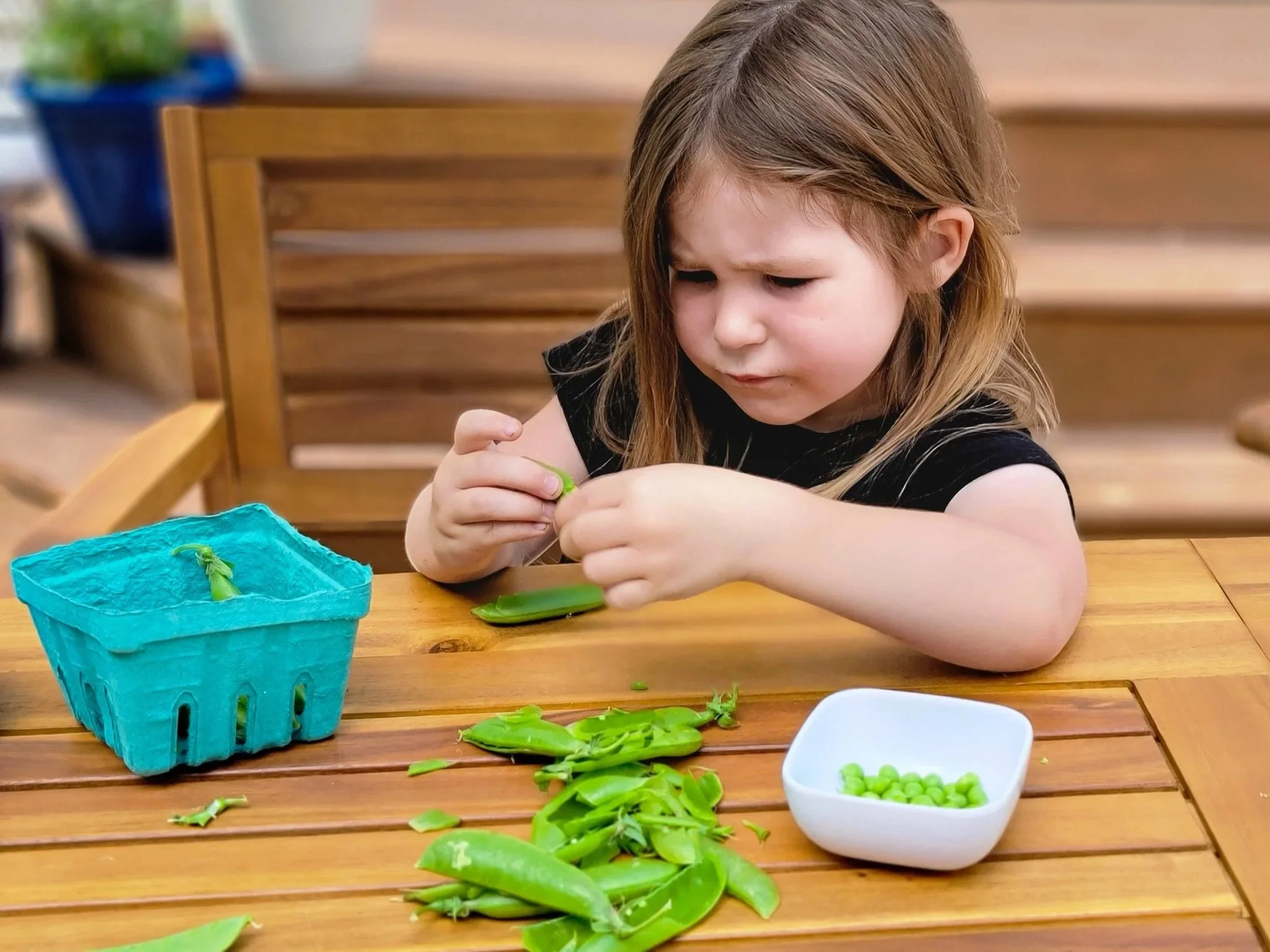 Adventures in Seed Saving.