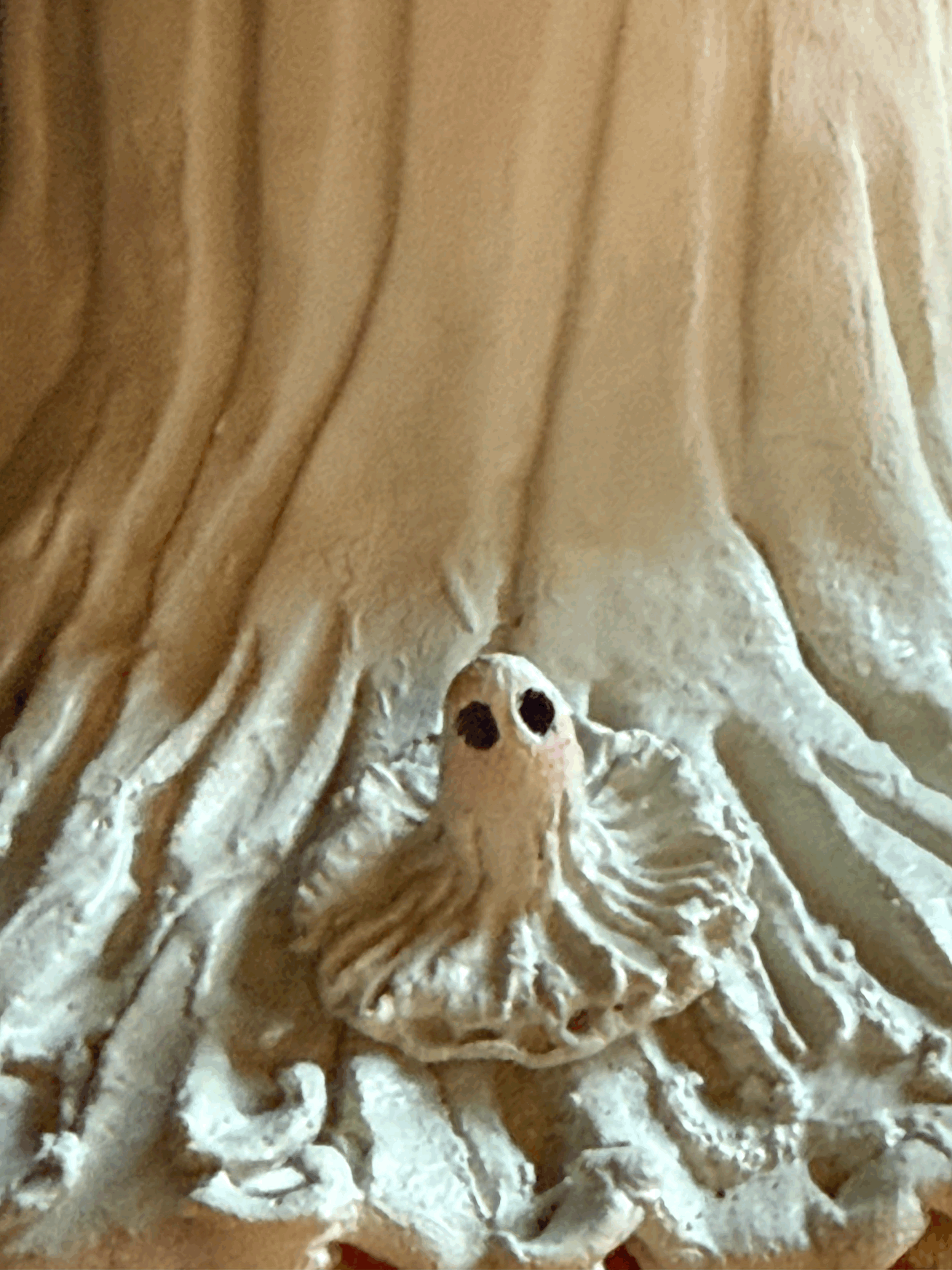 tempImageWtT7rj.gif