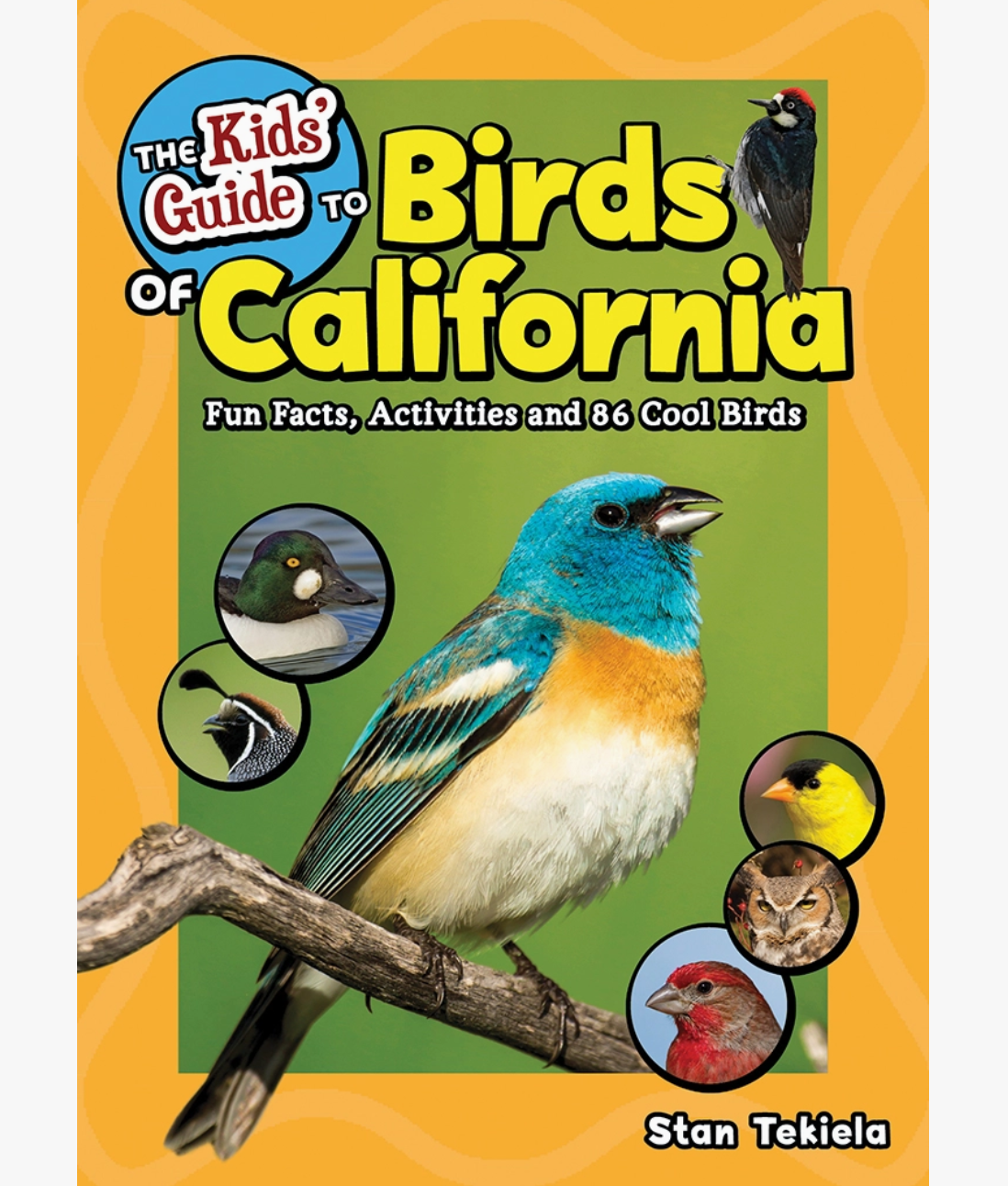 Kid's Guide to Birds Of California
