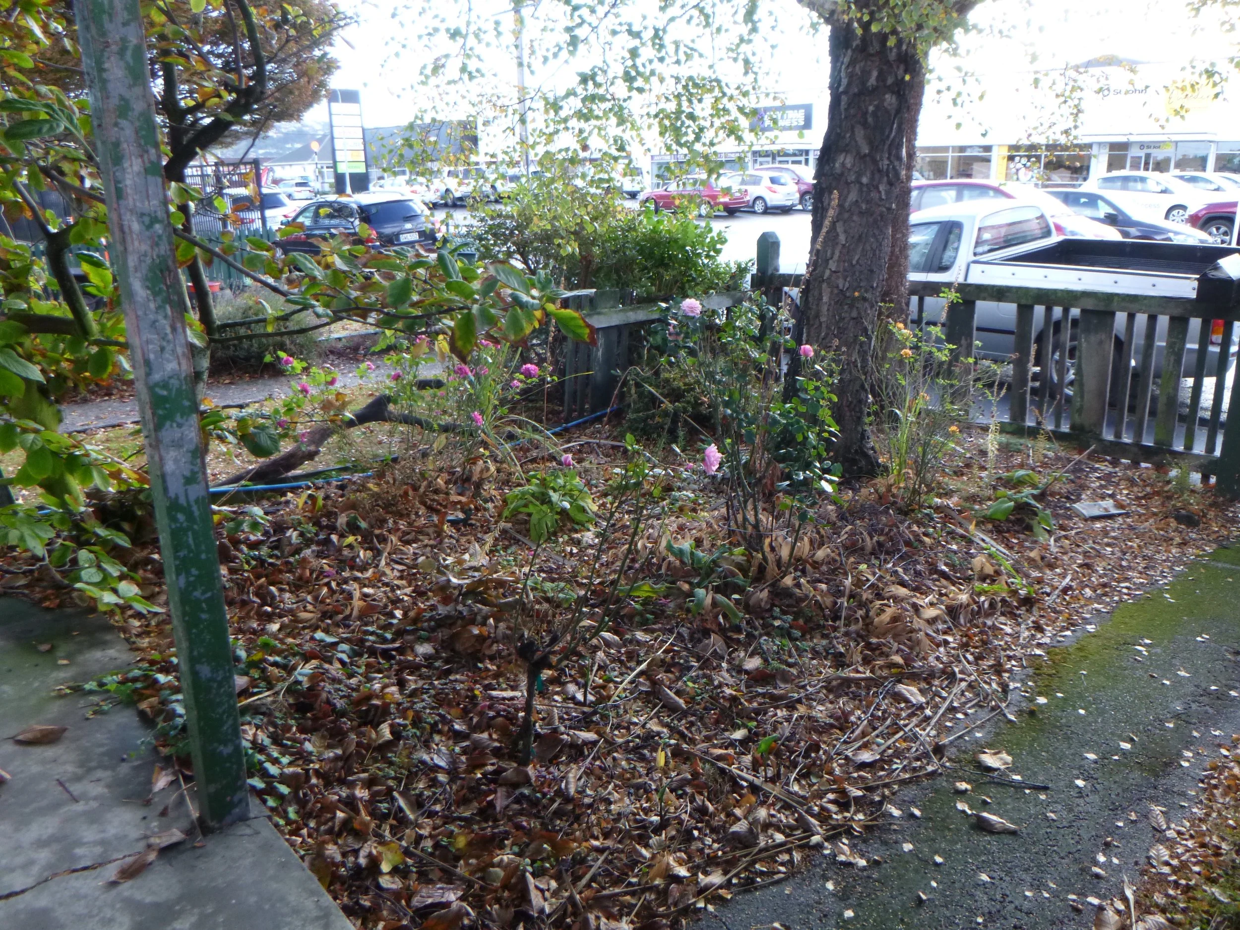 P1020541.JPG
