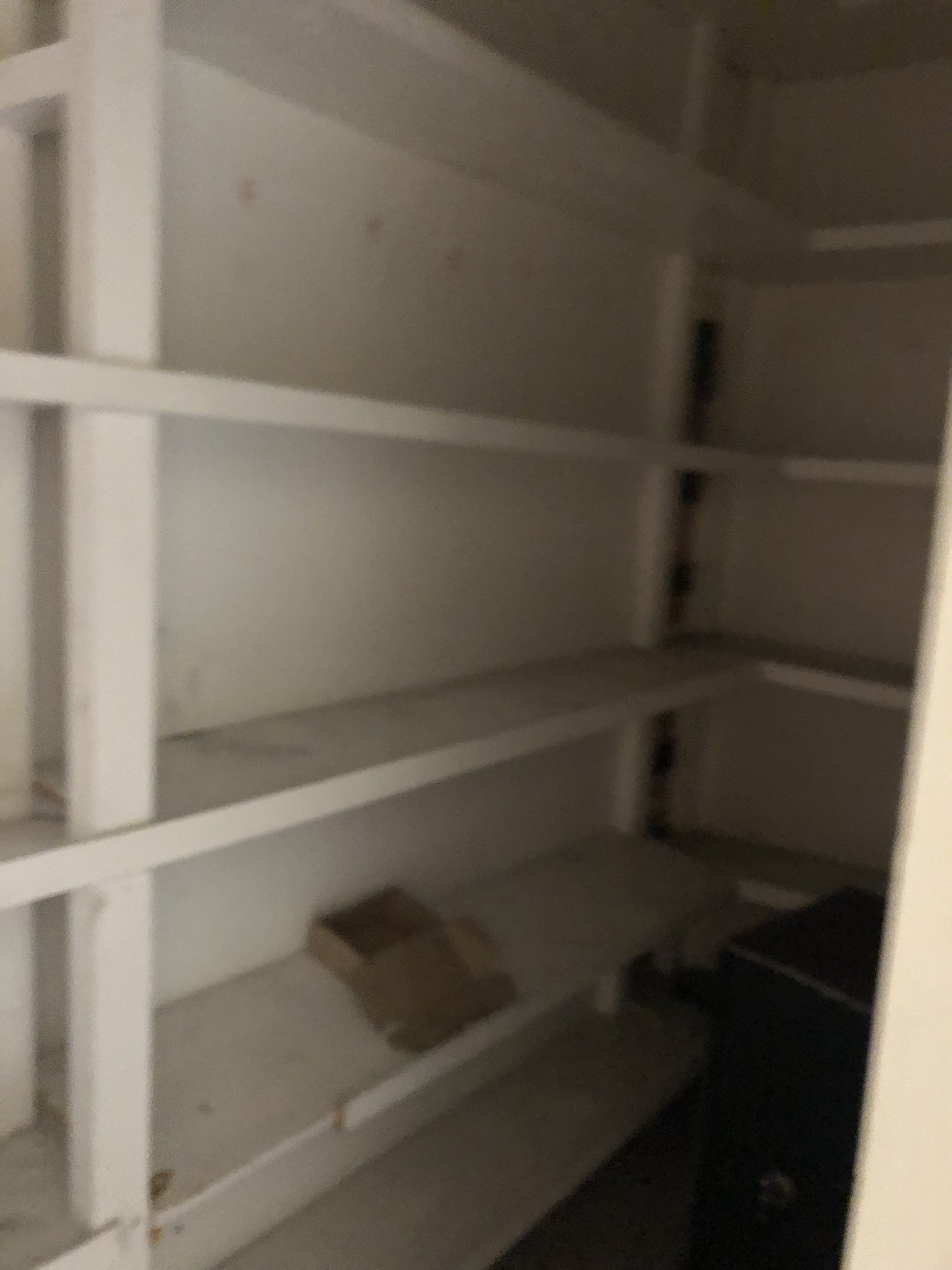 IMG_0103.JPEG