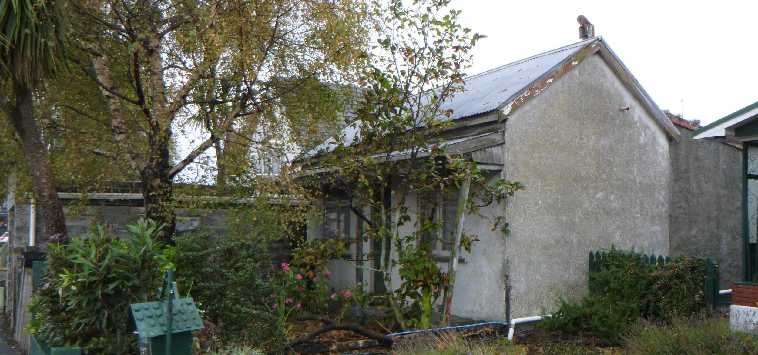 P1020441-1.jpg