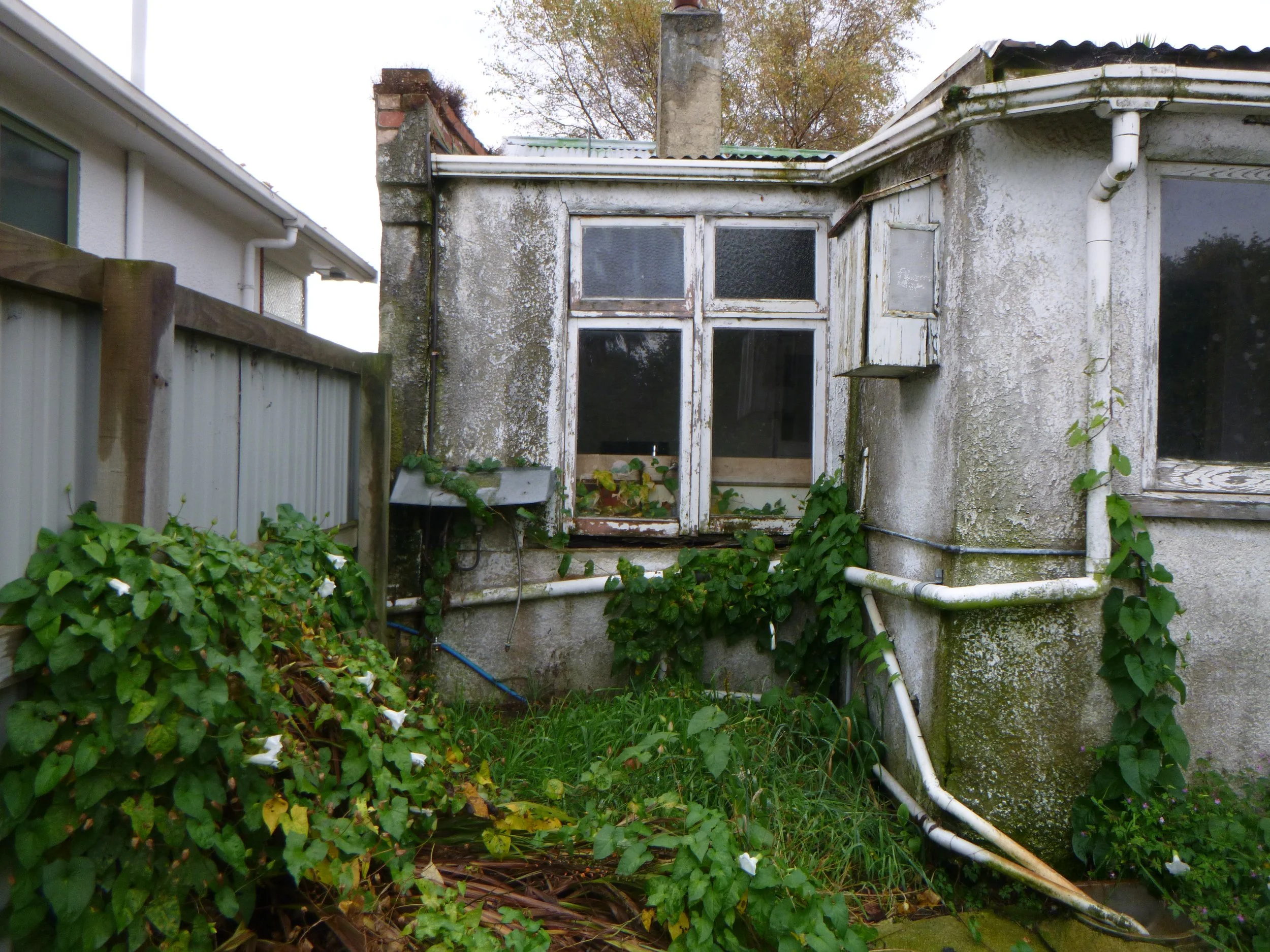 P1020455.JPG