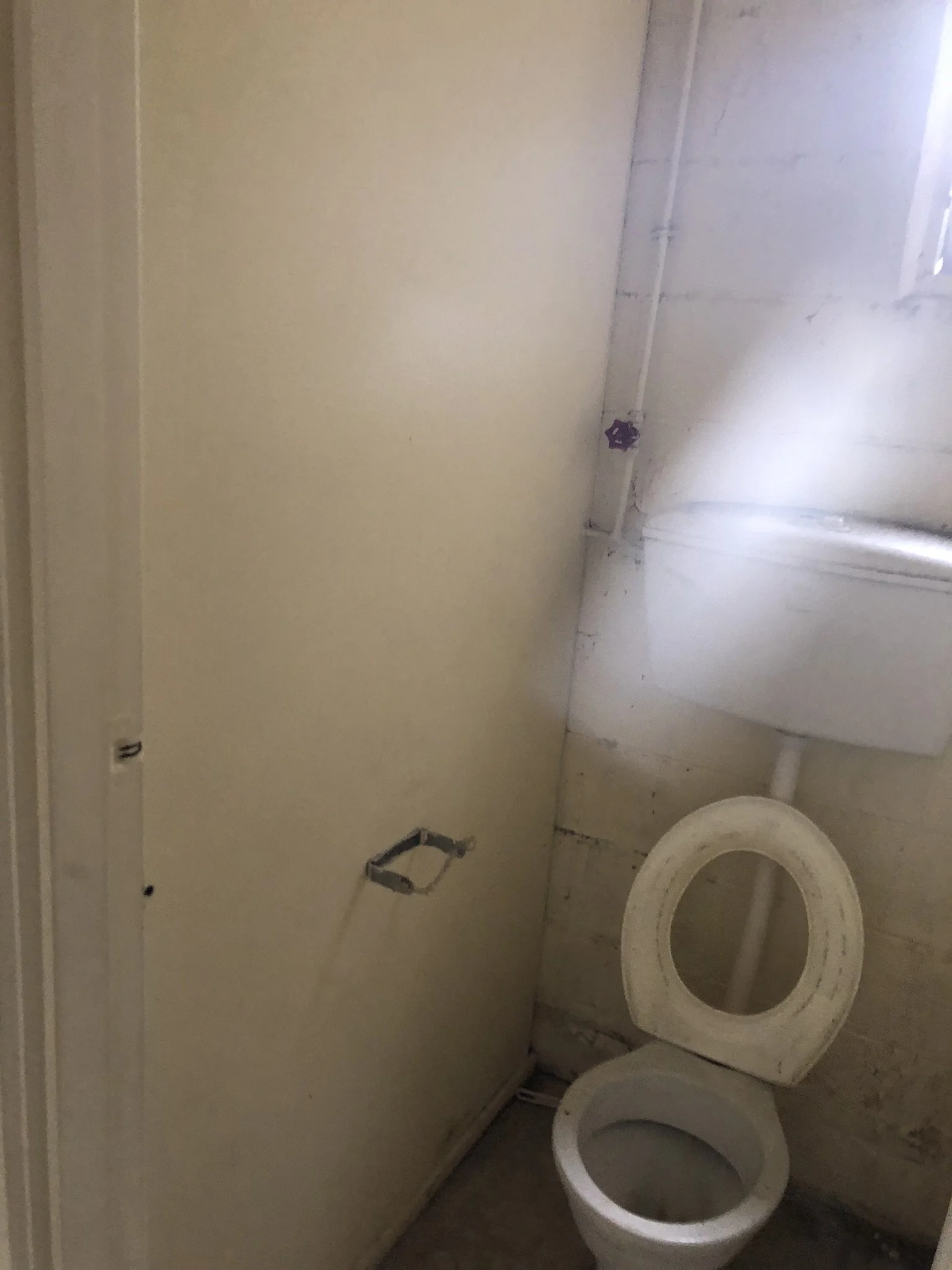 IMG_0109.JPEG