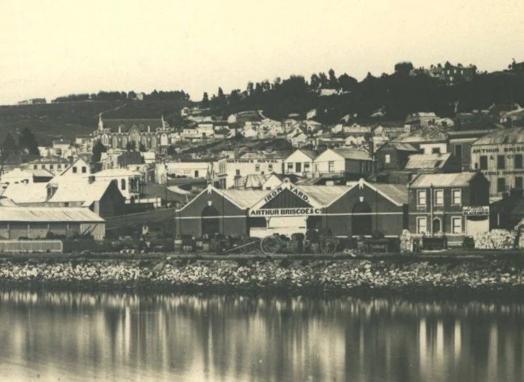 hocken snap shop 1873.jpg