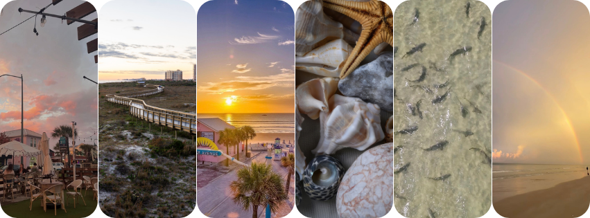 Coastal photo collage featuring New Smyrna Beach sunsets, palm trees, a rainbow and seashells.