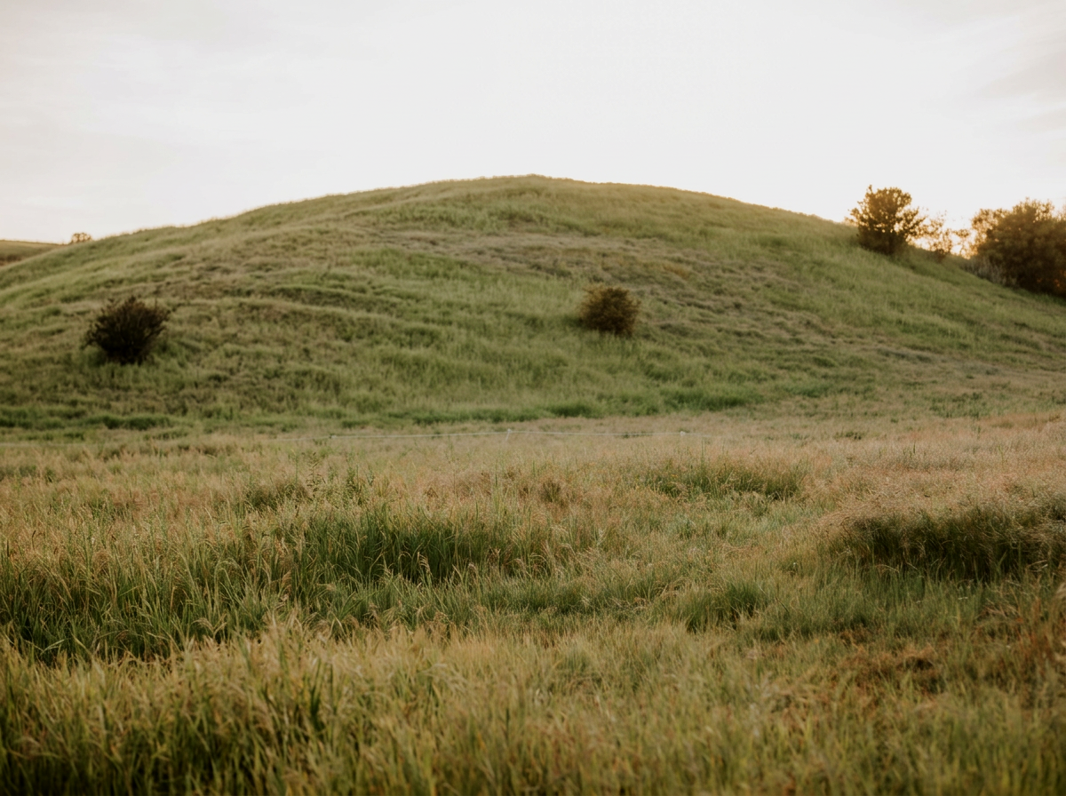 A grassy hillside with a few small bushes, under a partly cloudy sky during daytime.