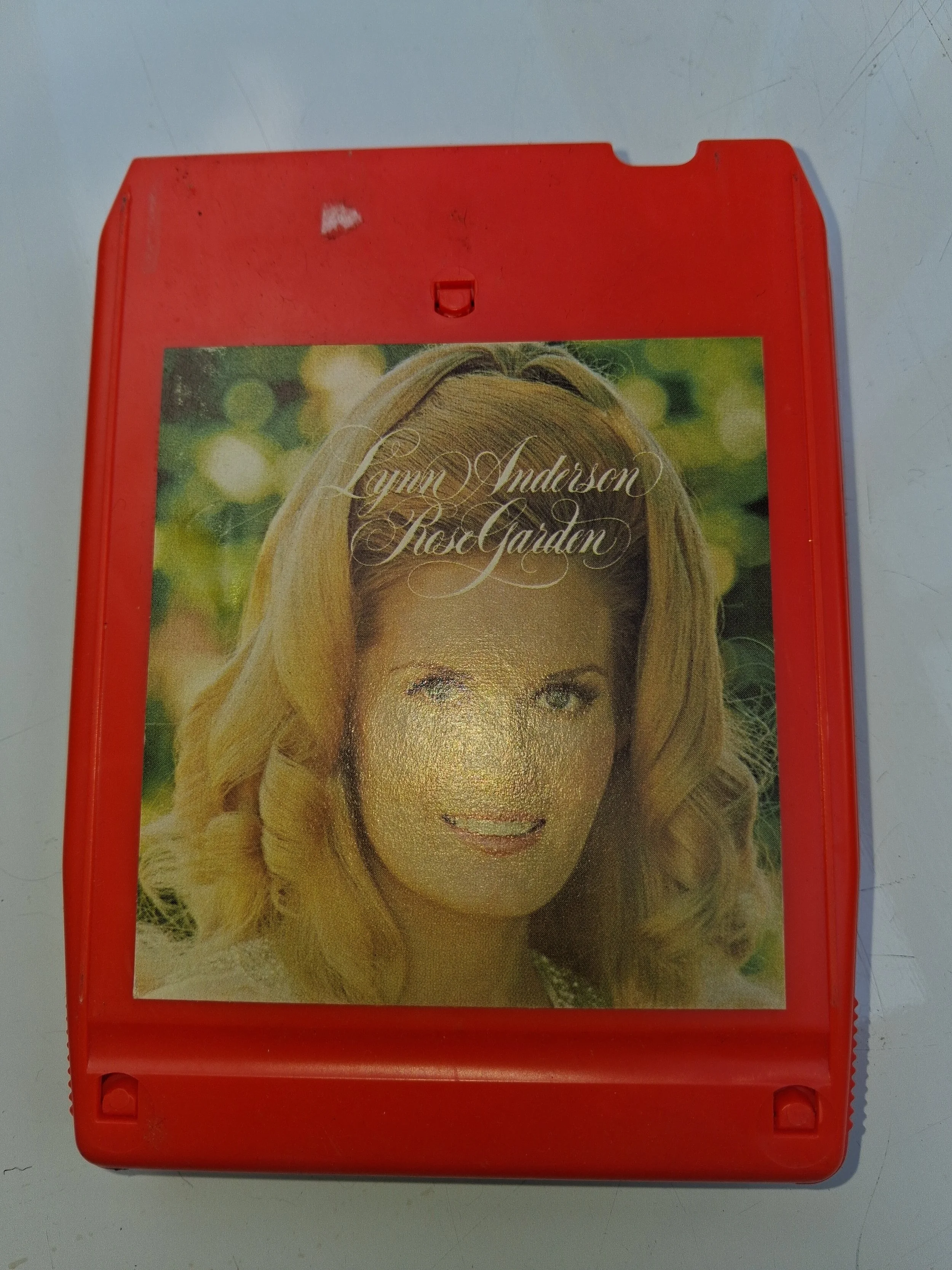 0 Anderson Lynn Rose Garden.jpg