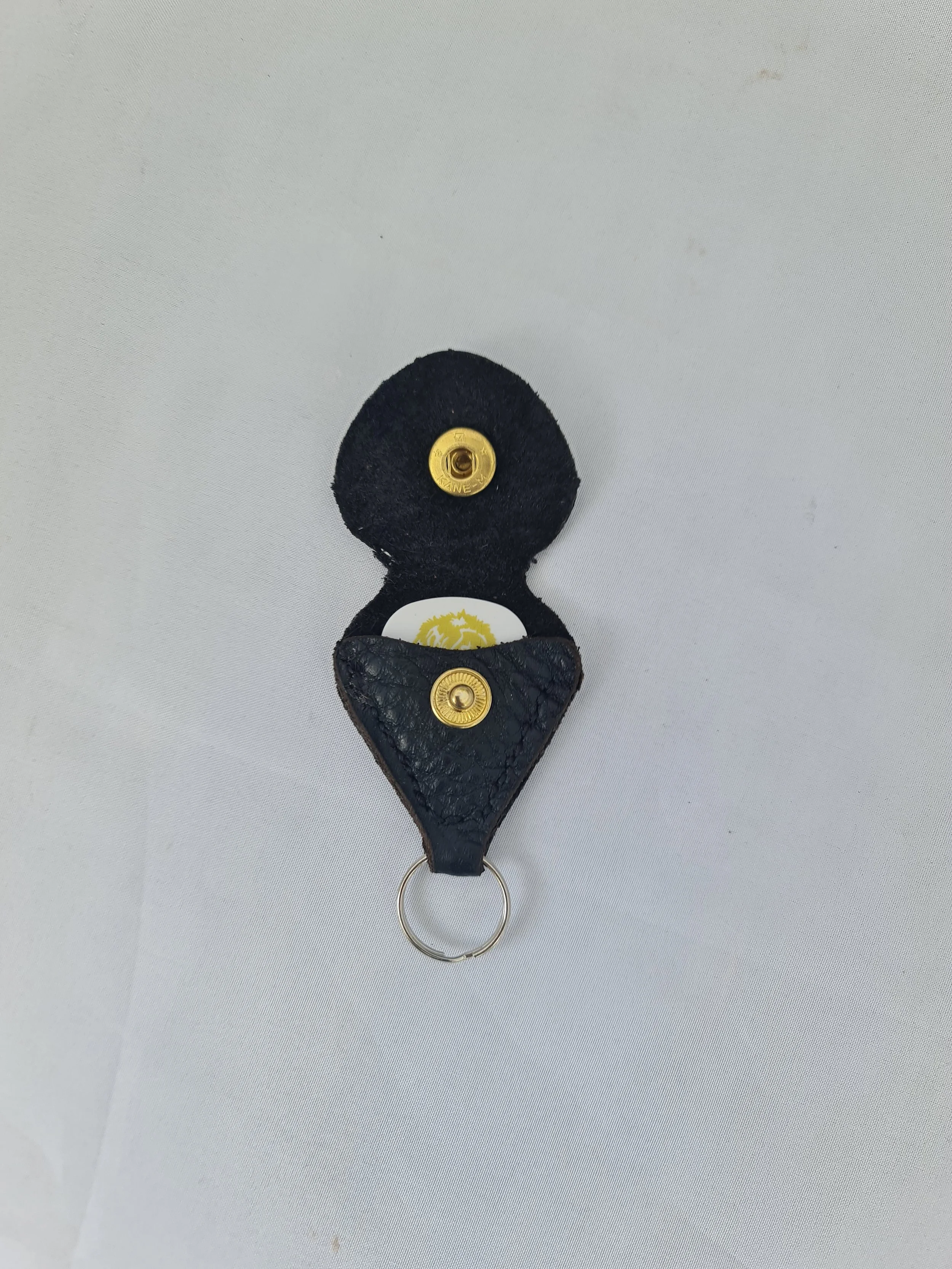 Pick Holder Keyring