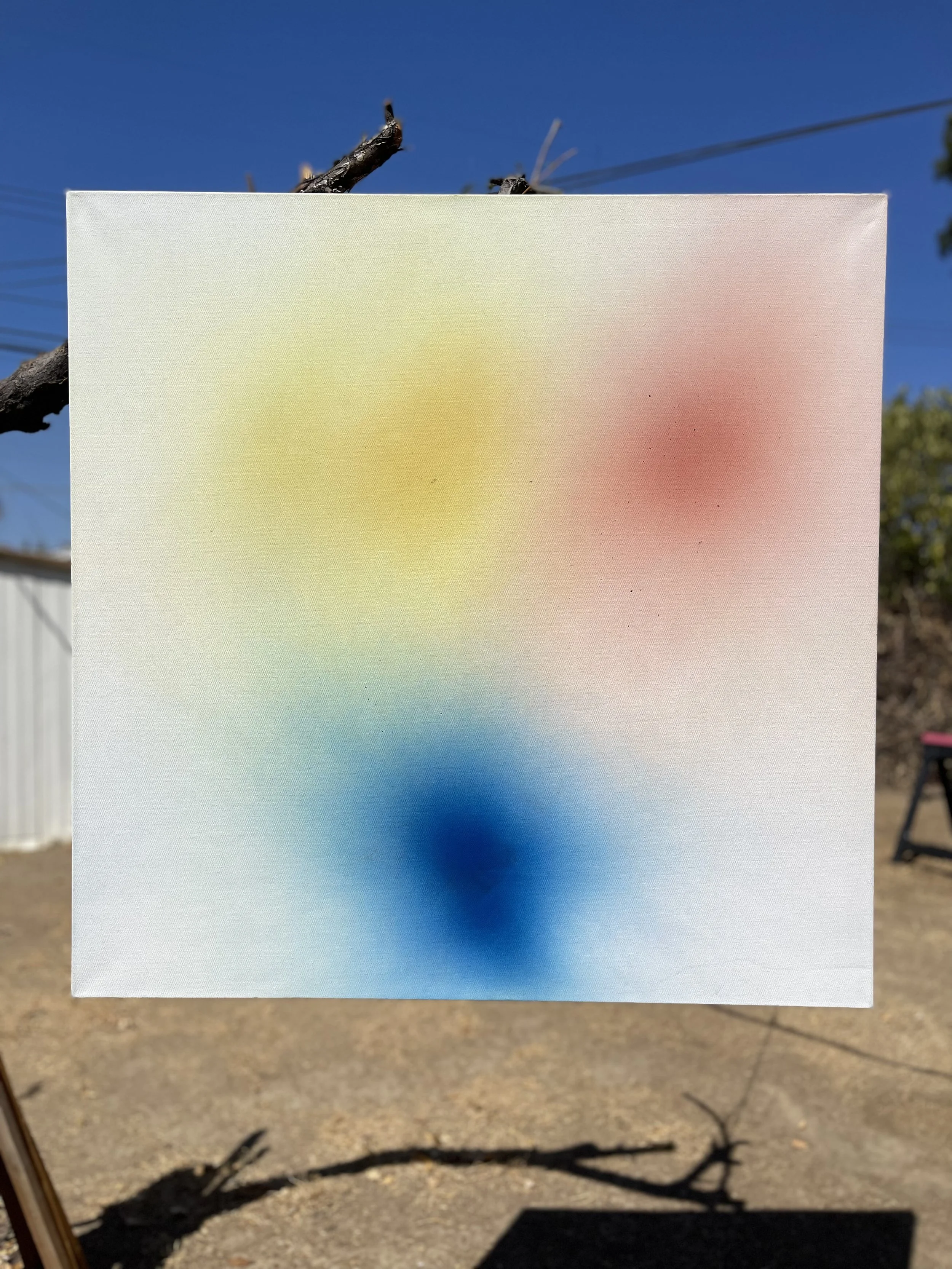 48in x 48in
raw pigment on canvas