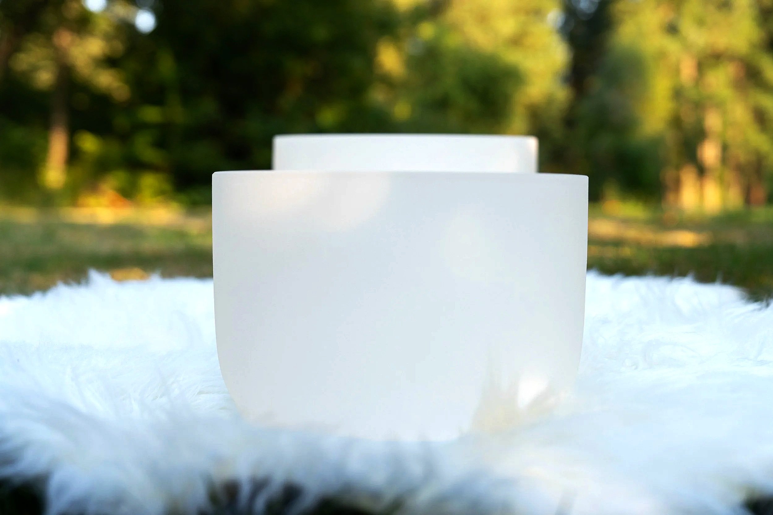 Close-up of two white ceramic bowls stacked outdoors with a blurred green and yellow forest background.