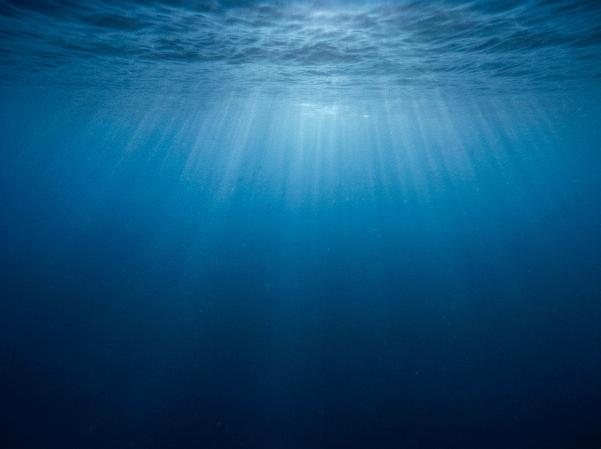 Underwater view showing sunlight filtering through the water surface with clear blue water below.