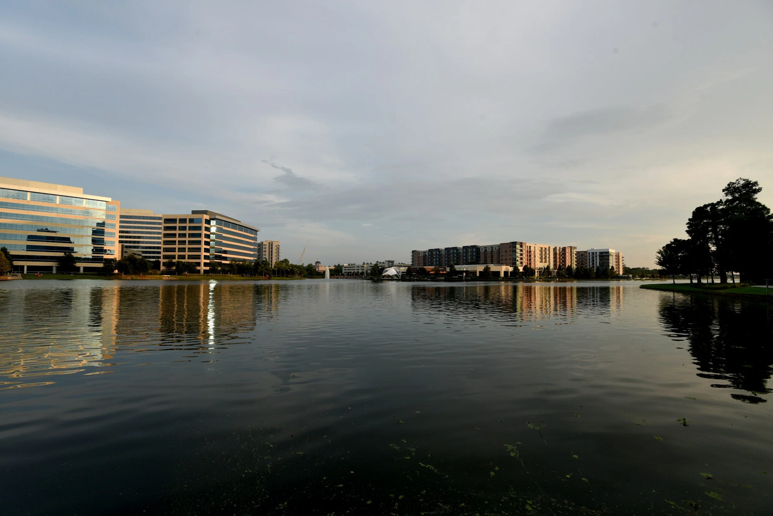 Office buildings on Lake Woodlands in The Woodlands Texas, EMDR and ART intensive therapy available to The Woodlands residents via telehealth
