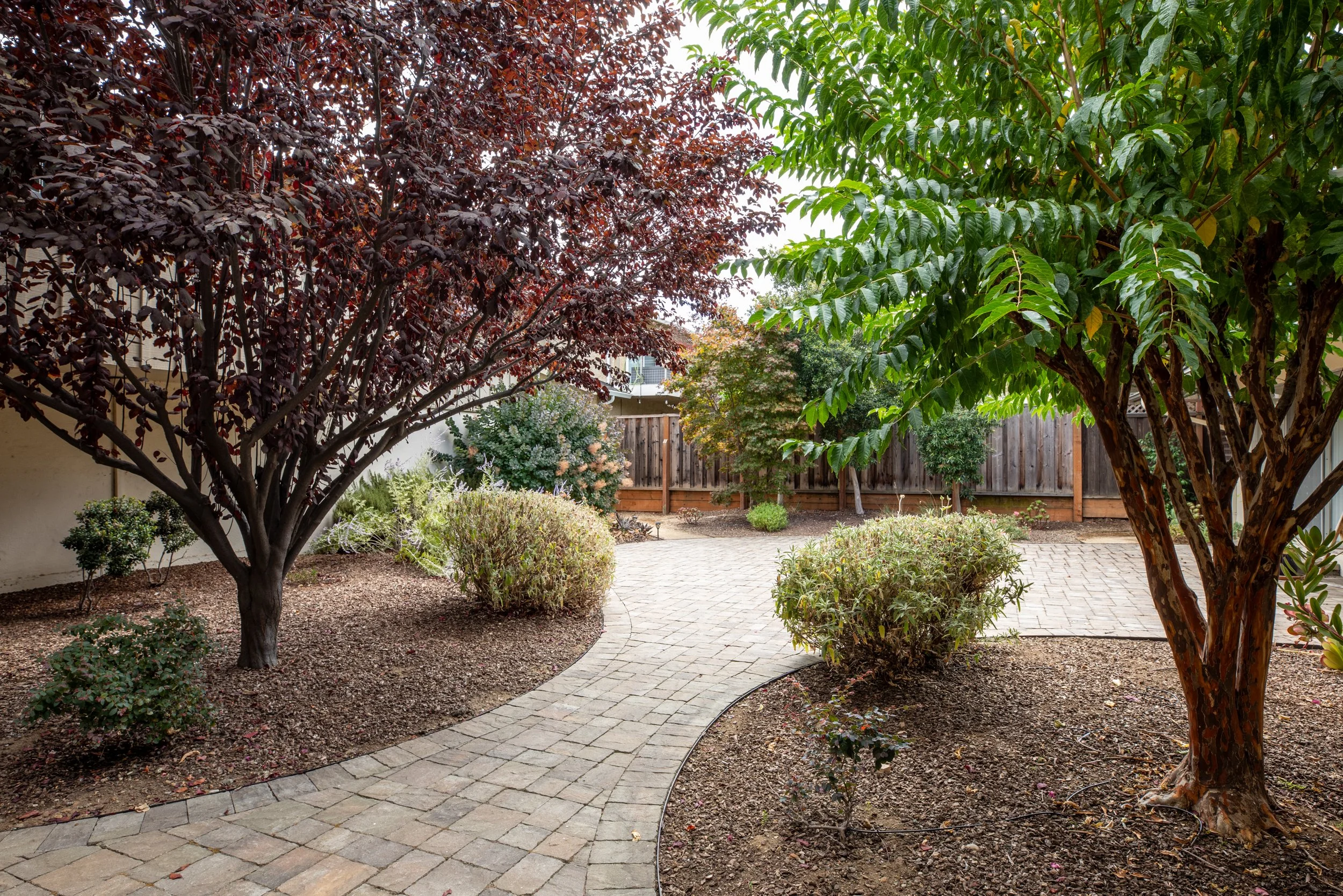 20-Tyndall_Matt_Anello-8094-MLS.jpg