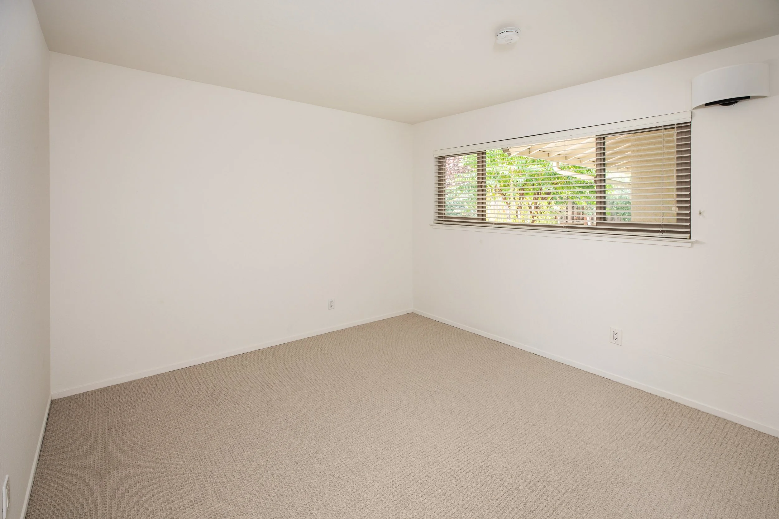 9-Tyndall_Matt_Anello-8064-MLS.jpg