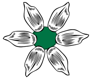 Six tulip flower buds arranged in a circle around a green center on a black background.