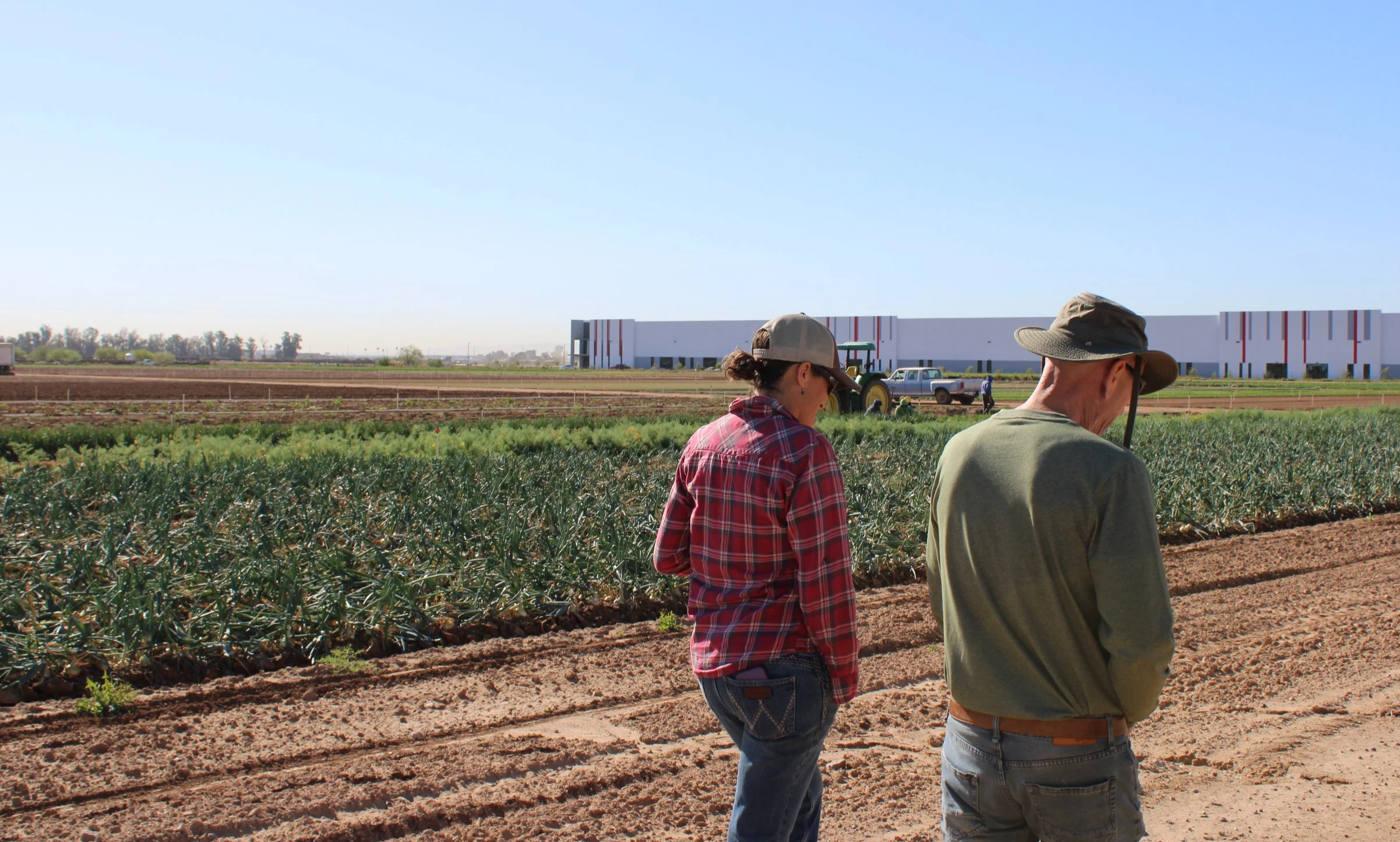 Two people observing crops and talking to each other next to an organic farm field under a clear blue sky.