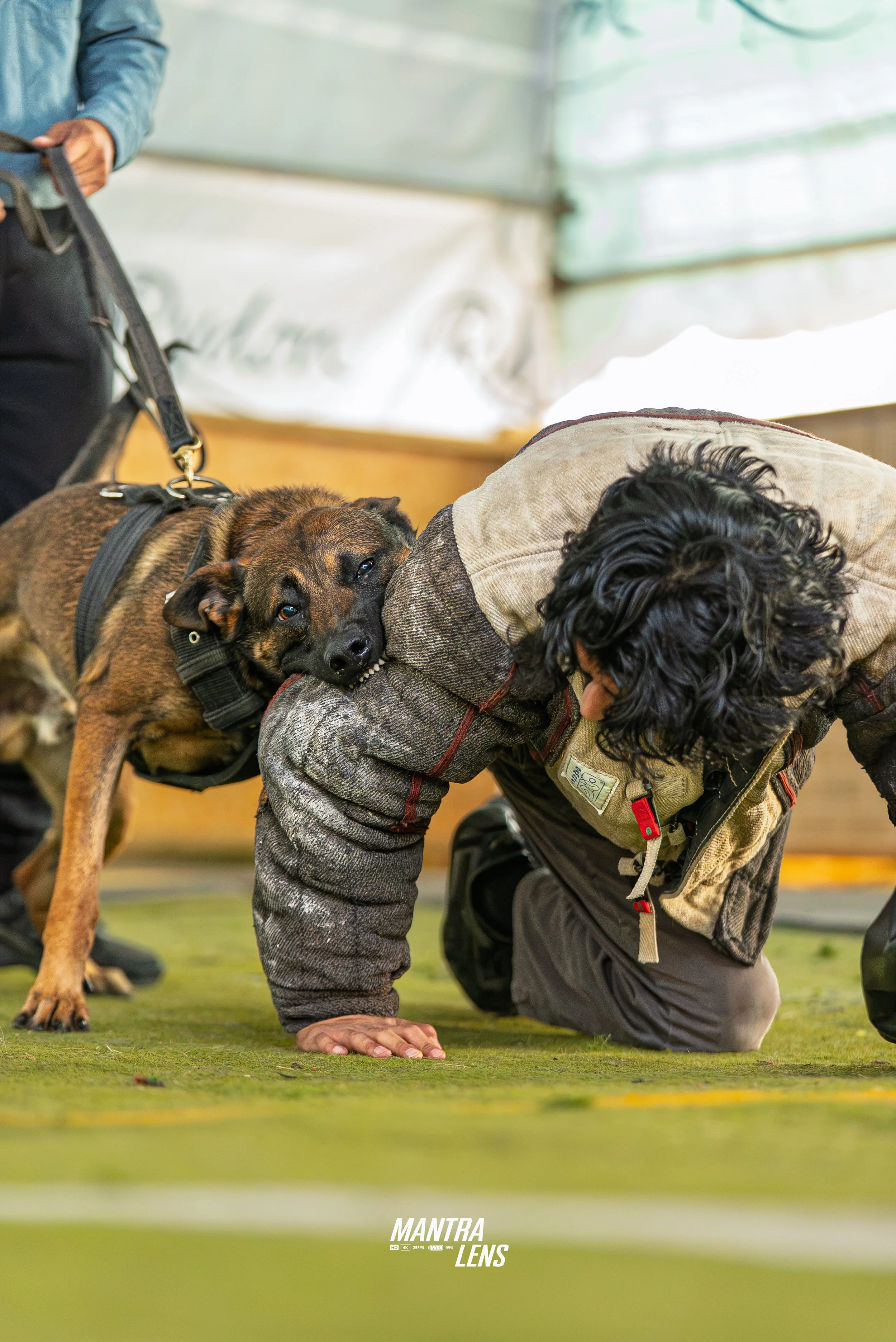 A person performing a yoga pose on his hands and knees on a green carpet in an indoor space. A brown dog is resting its head on the person's back, gazing towards the camera. The person's face is not visible and they are wearing a camouflage jacket. T