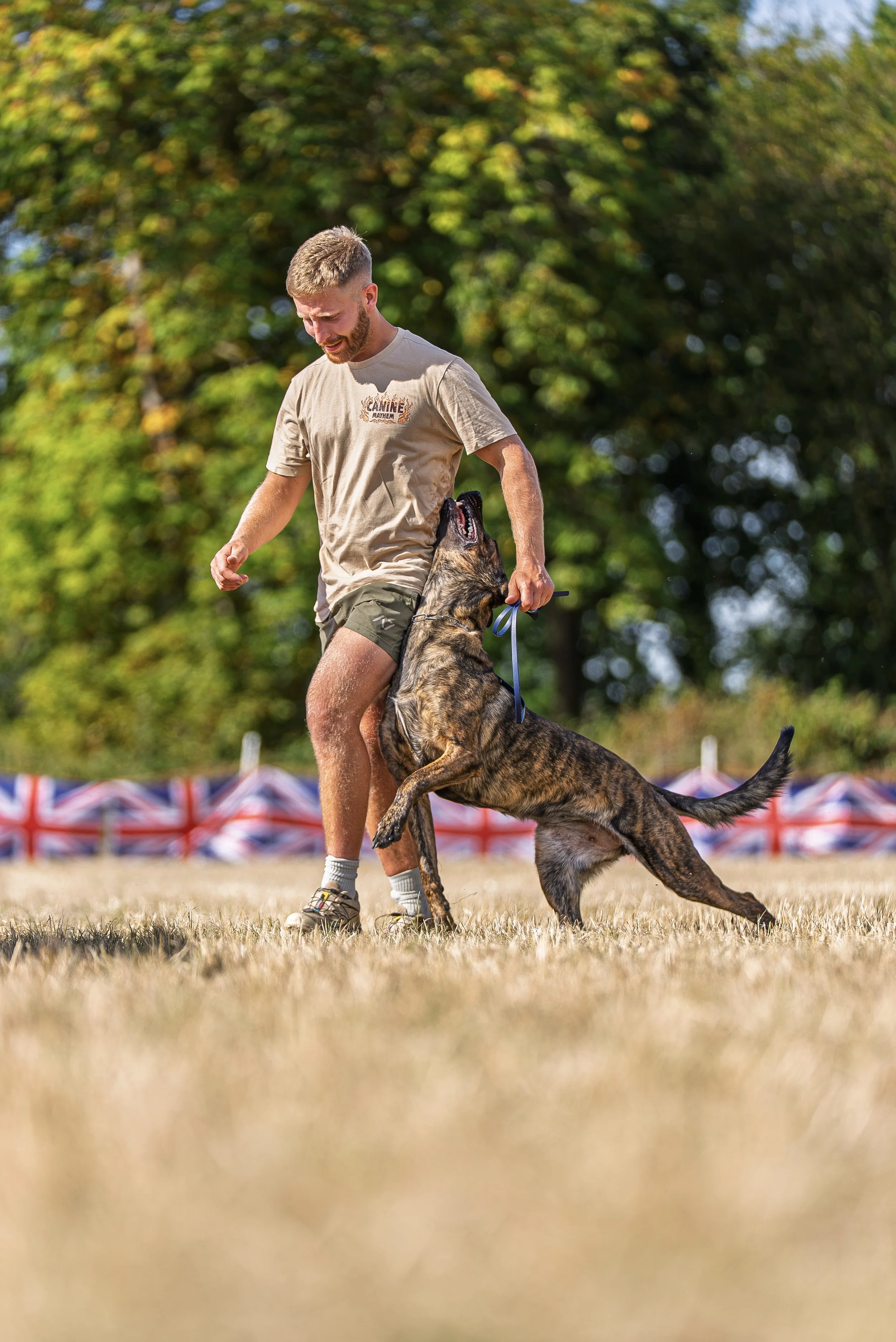 A man in casual clothing, including a beige T-shirt and shorts, is playing with a large brindle-coated dog outdoors on a grassy field. The man is smiling and looking down at the dog, which appears to be jumping or playing energetically. Background includes blurred trees and a line of Union Jack flags.