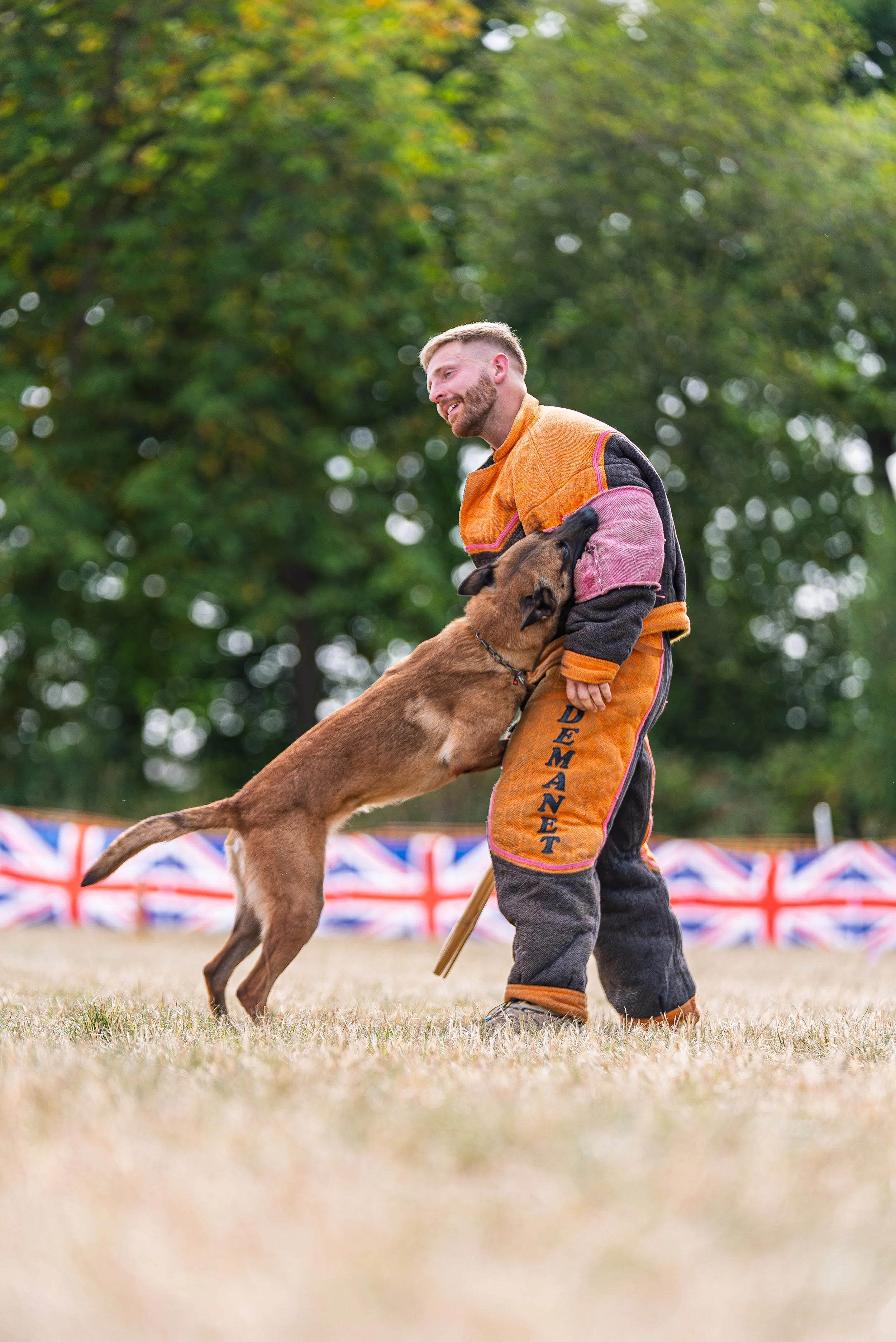 A man and a Belgian Malinois dog participating in a dog training or protection event outdoors. The man is dressed in a padded suit for protection, while the dog is biting onto the sleeve of the suit. The background features a fence decorated with Uni