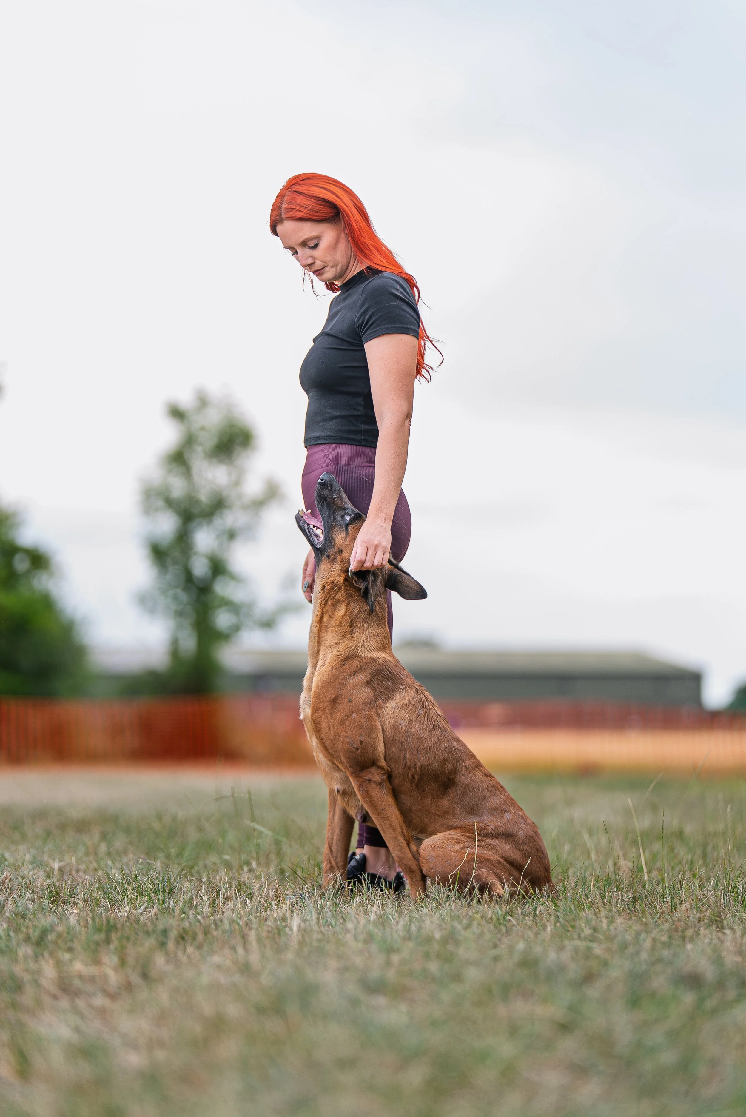 A woman with red hair standing outdoors on grass, looking down at a large brown dog that is sitting and looking up at her with its mouth open.