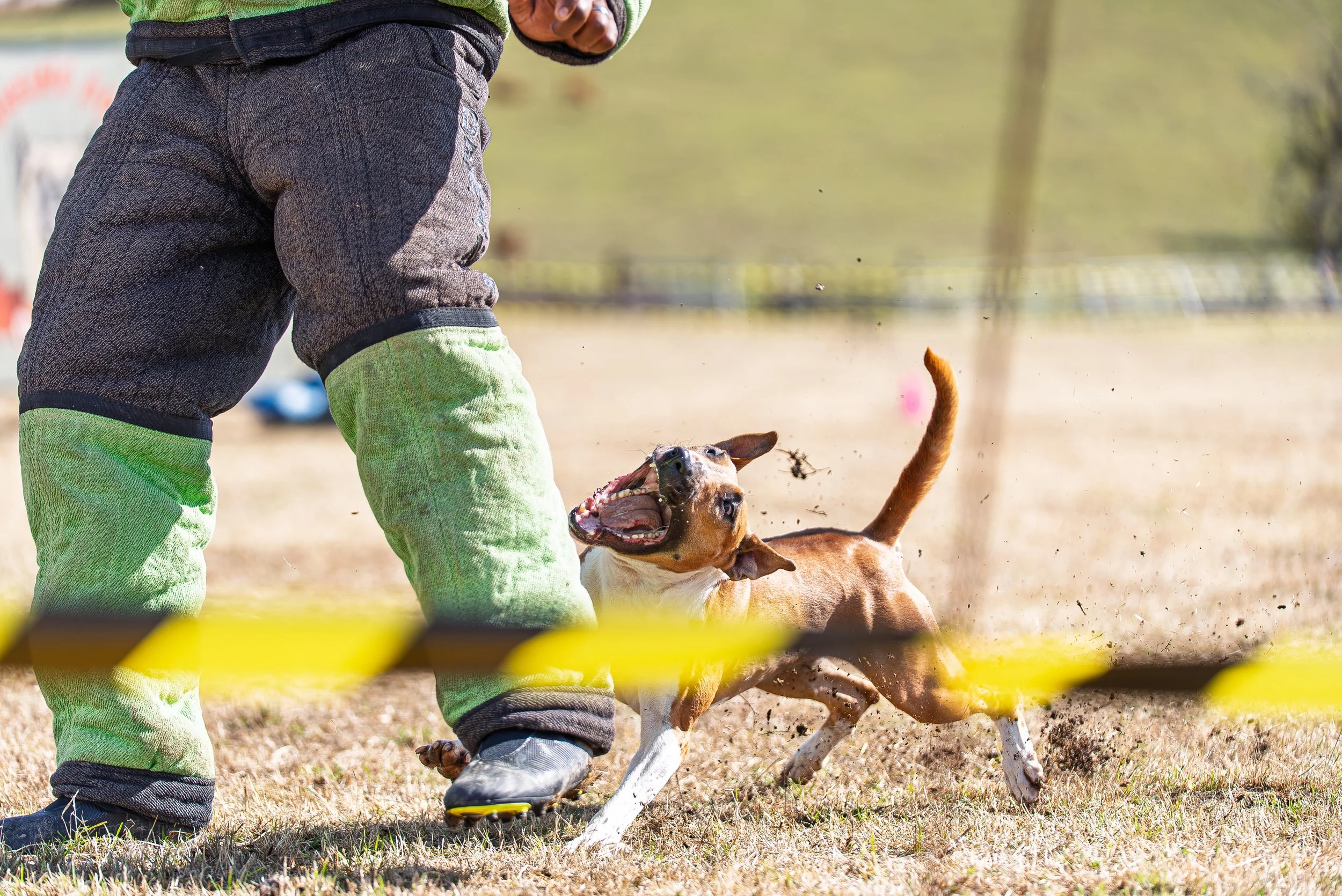 A person in outdoor clothing playing with a dog on a grassy field, with the dog tugging on a toy and dirt and grass flying in the air.