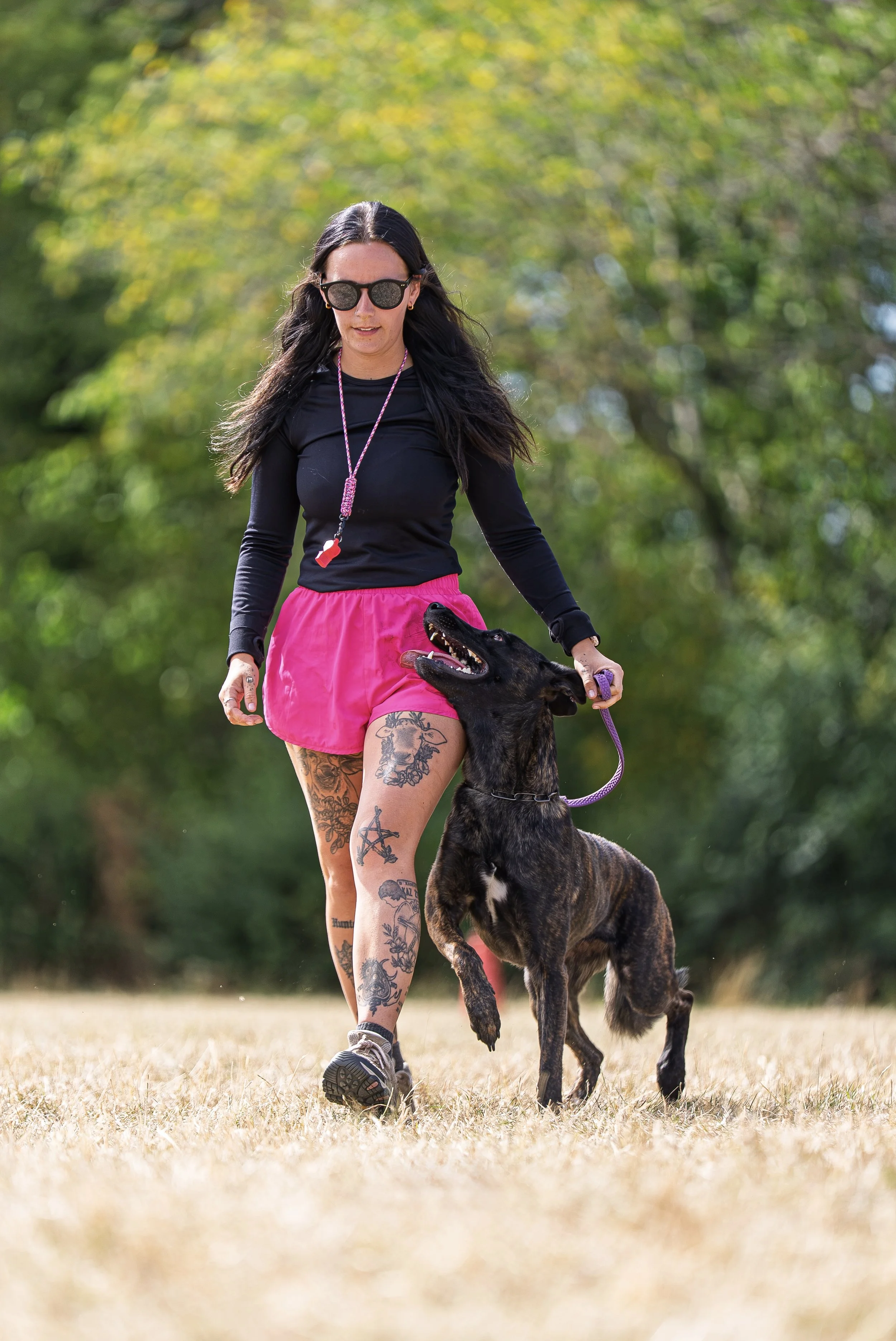 A woman with long dark hair, wearing sunglasses, black long sleeve shirt, and pink shorts, walking a black brindle-coated dog in a park with green trees in the background.