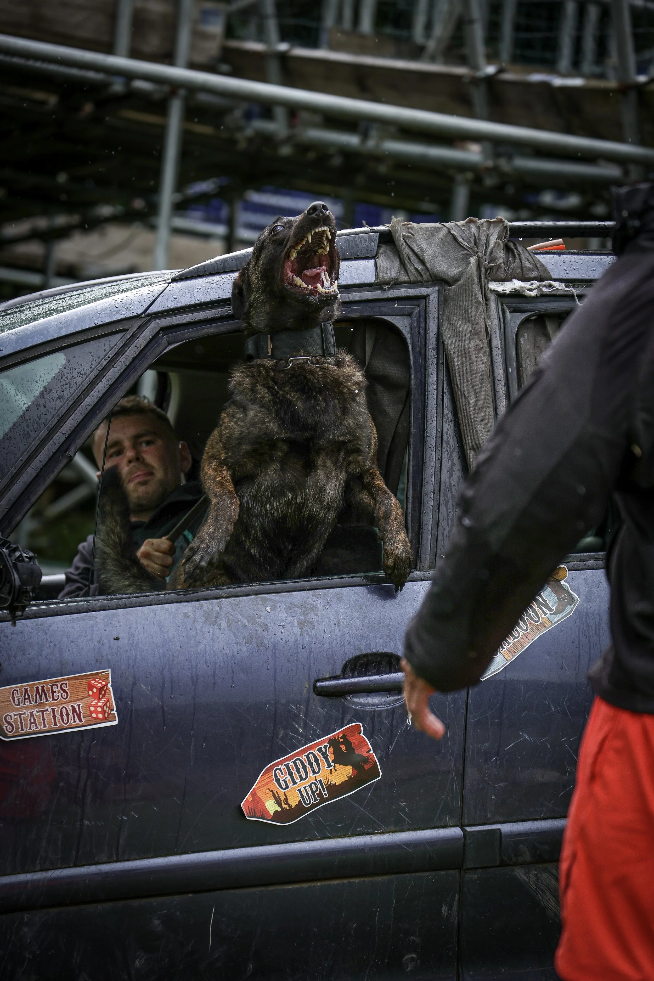 A police dog with its mouth open, leaning out of a vehicle window, with someone standing outside the vehicle. The vehicle has stickers on it including one that says "Giddy Up!" and another that says "Game Station." The background shows a metal struct