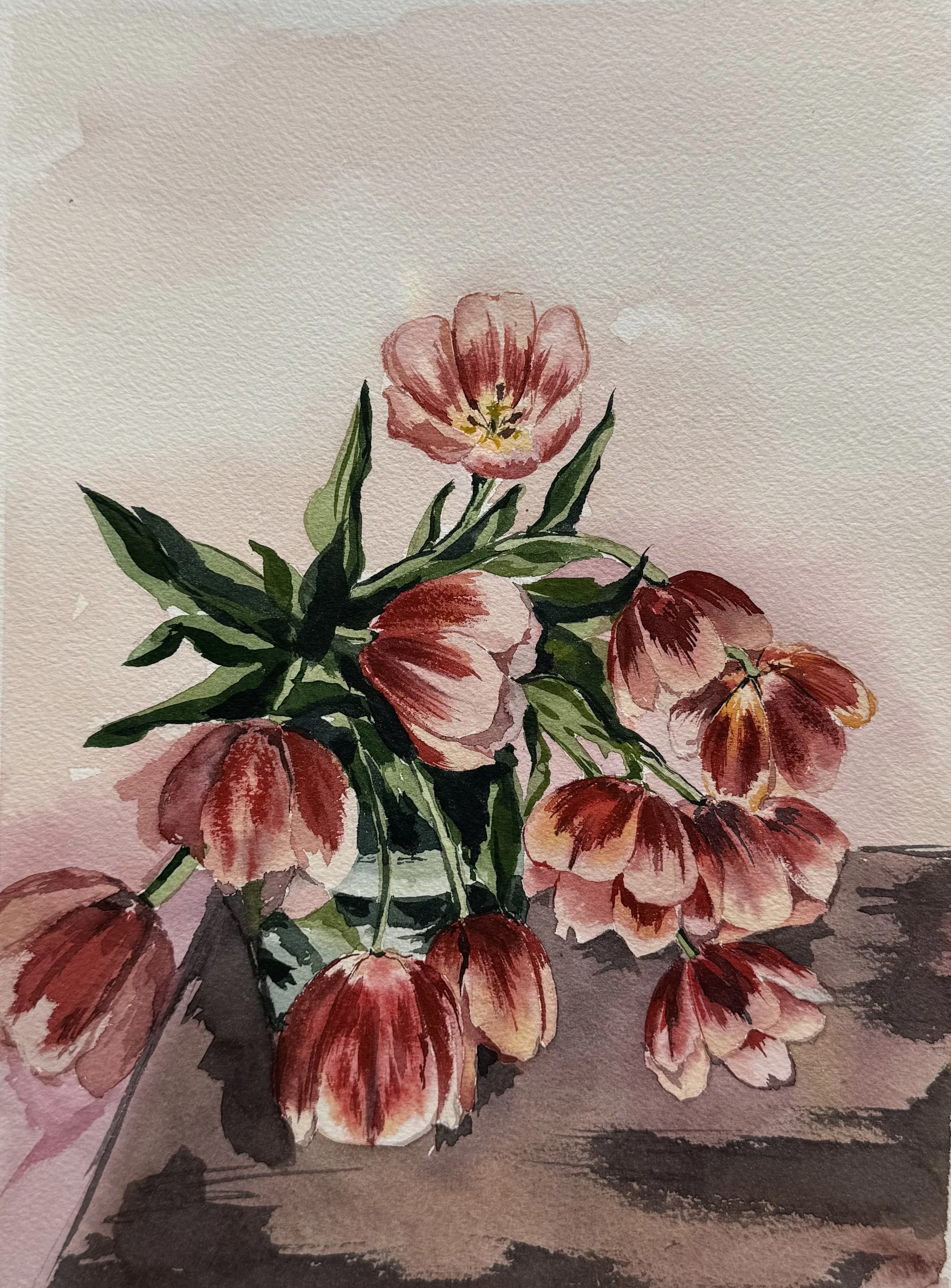 Tulips