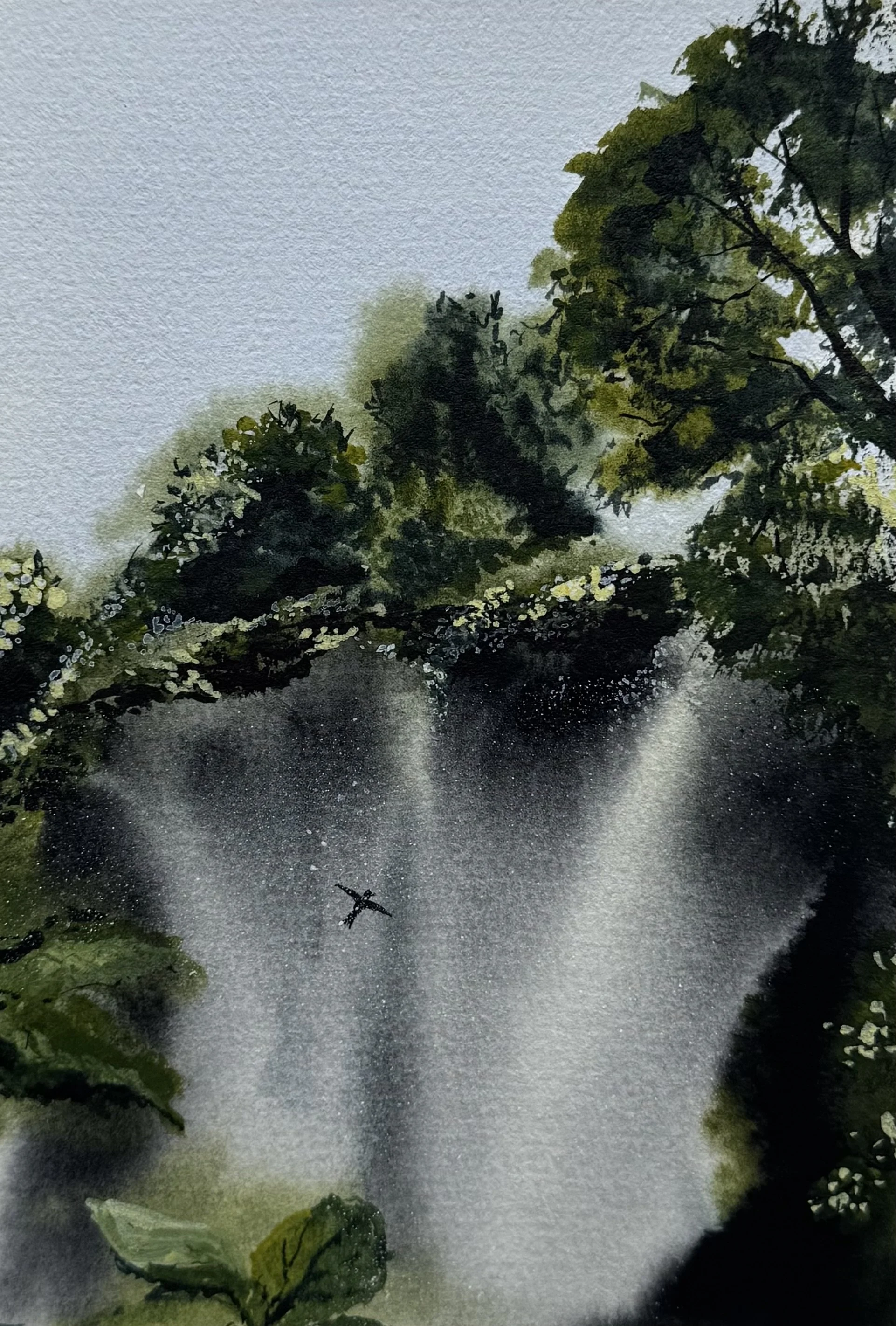 Hover