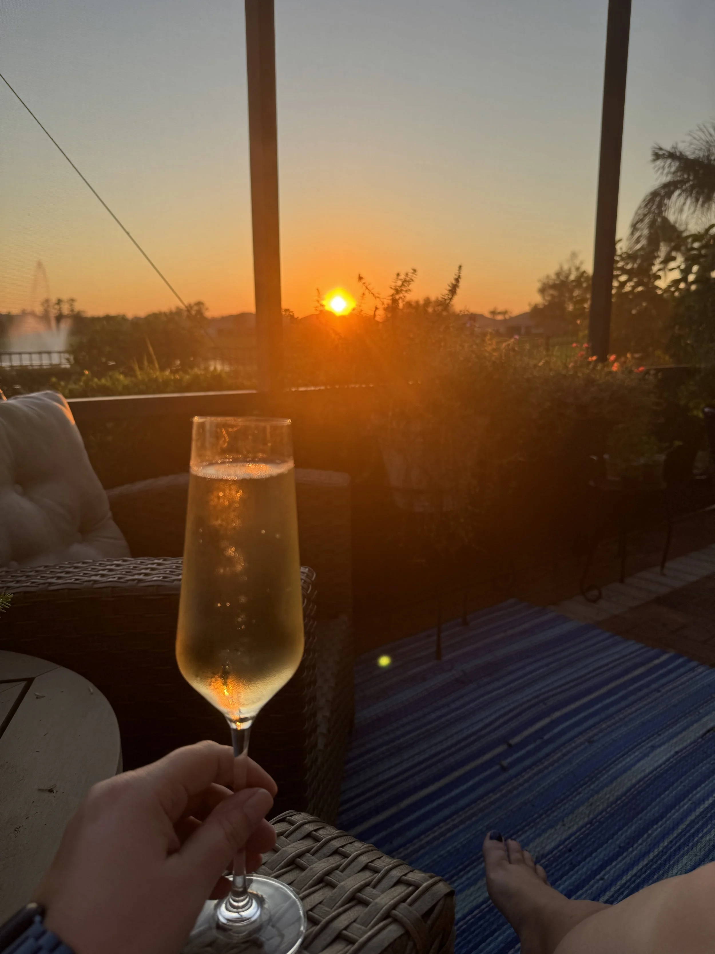 Glass of Champagne raised during a sunset overlooking wine country.