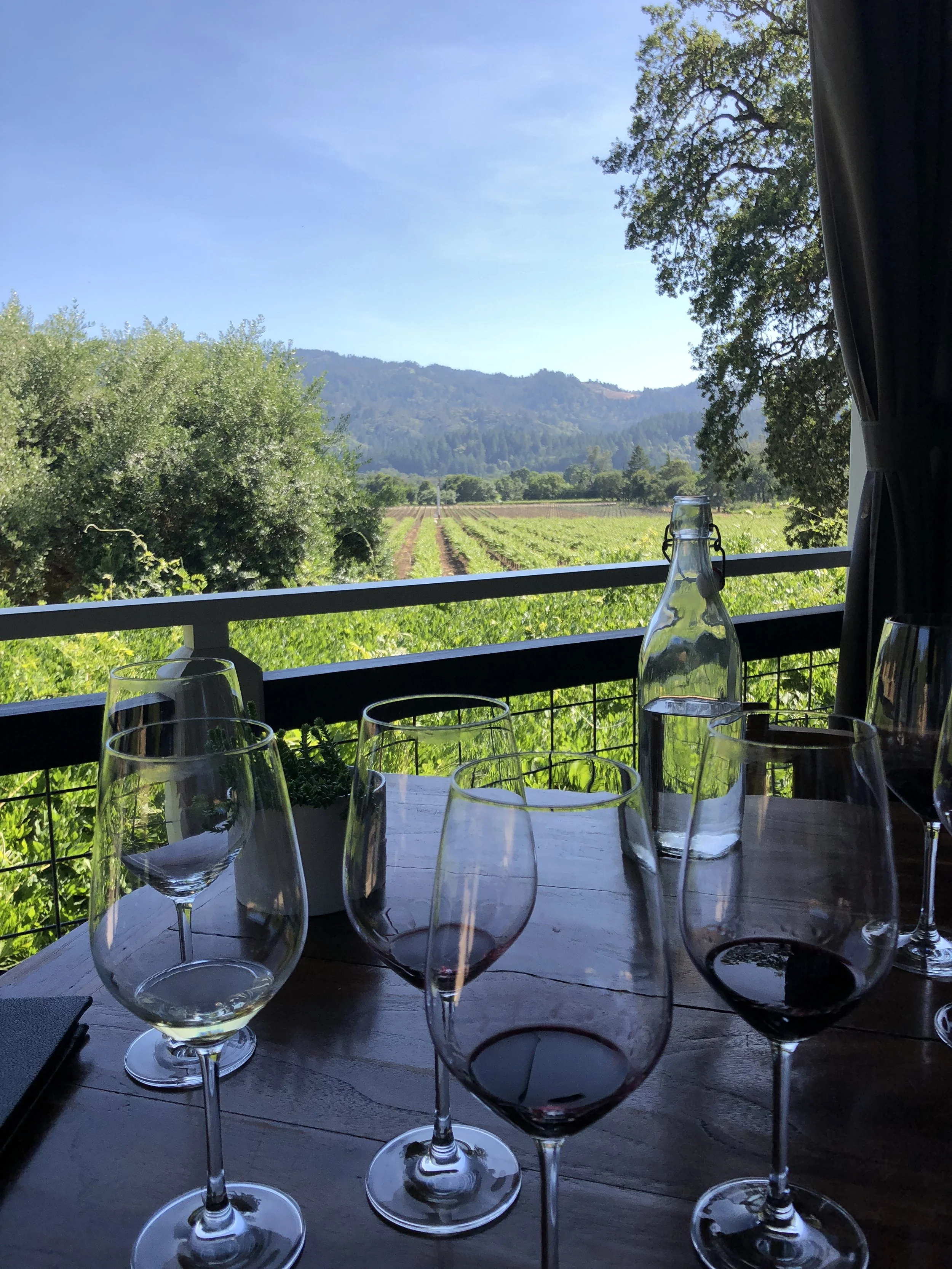 Wine tasting with scenic vineyard and mountain views.