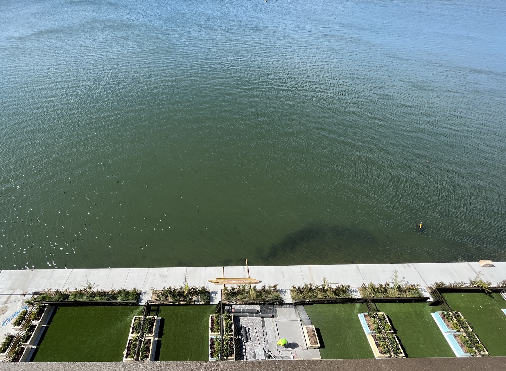 View of a large body of water with a sidewalk and small garden beds with plants in the foreground. There are two people in the water with paddleboards.