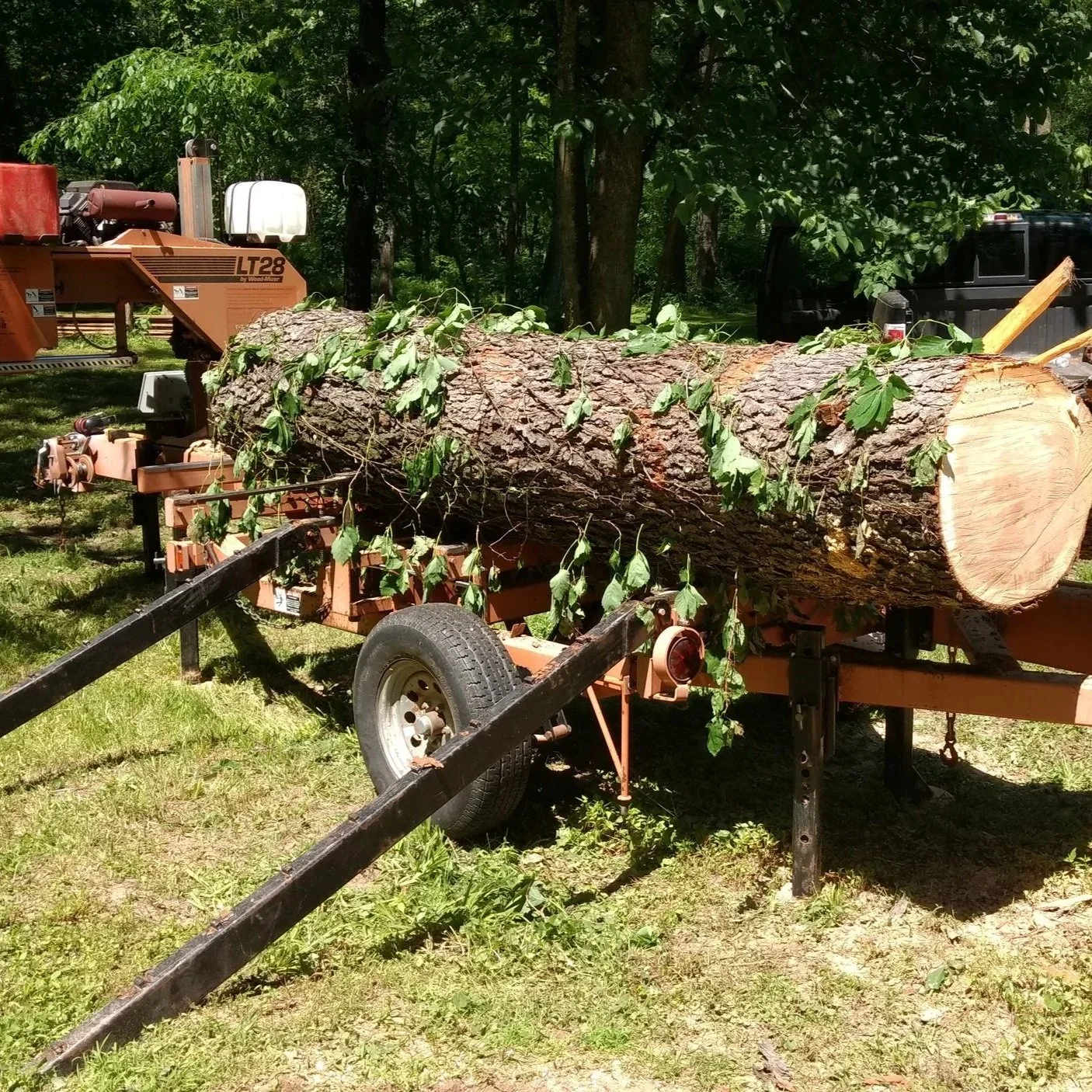 A large fallen tree on a log saw machine on a grassy area, with trees and a black truck in the background.