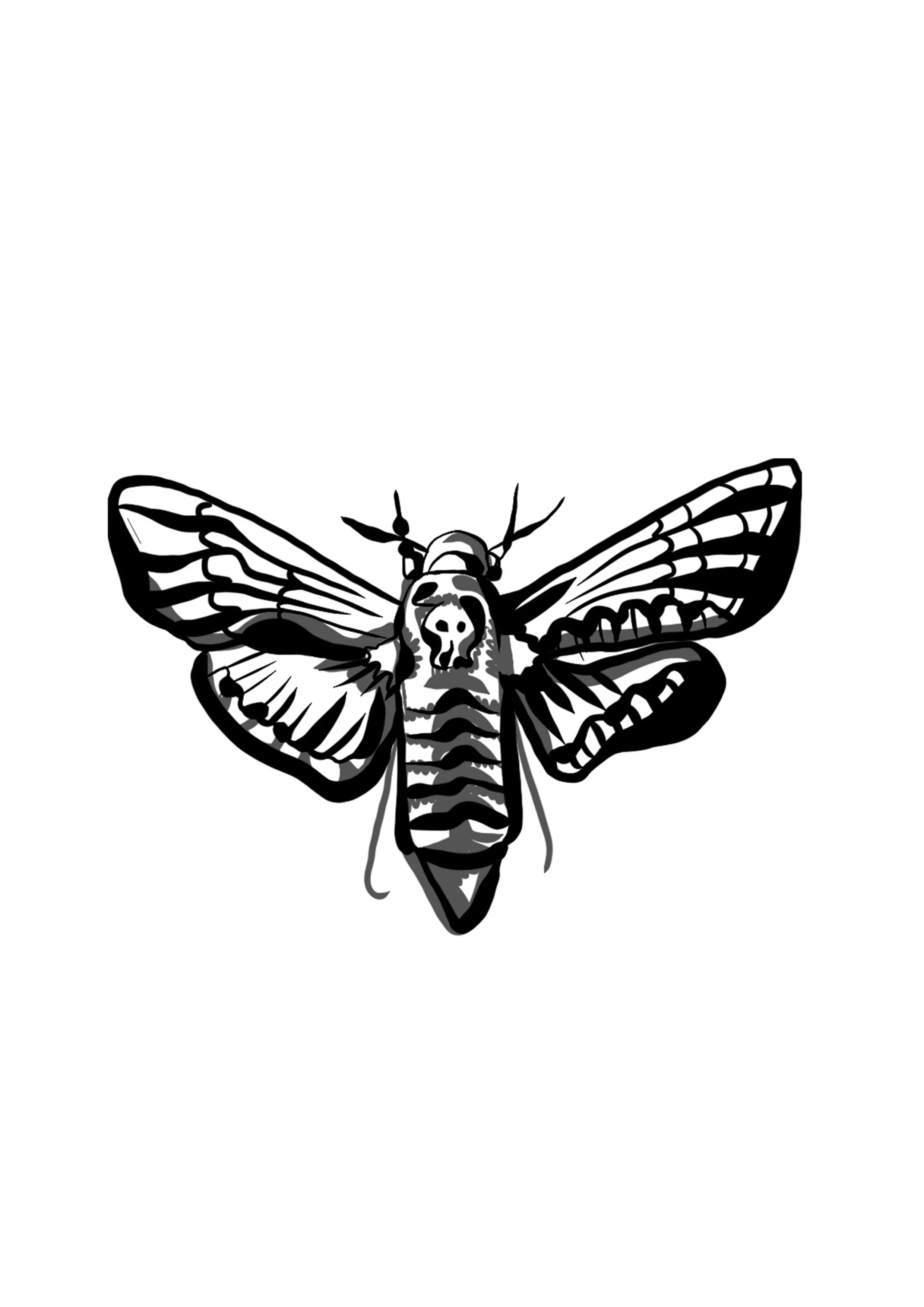 moth tat.jpg