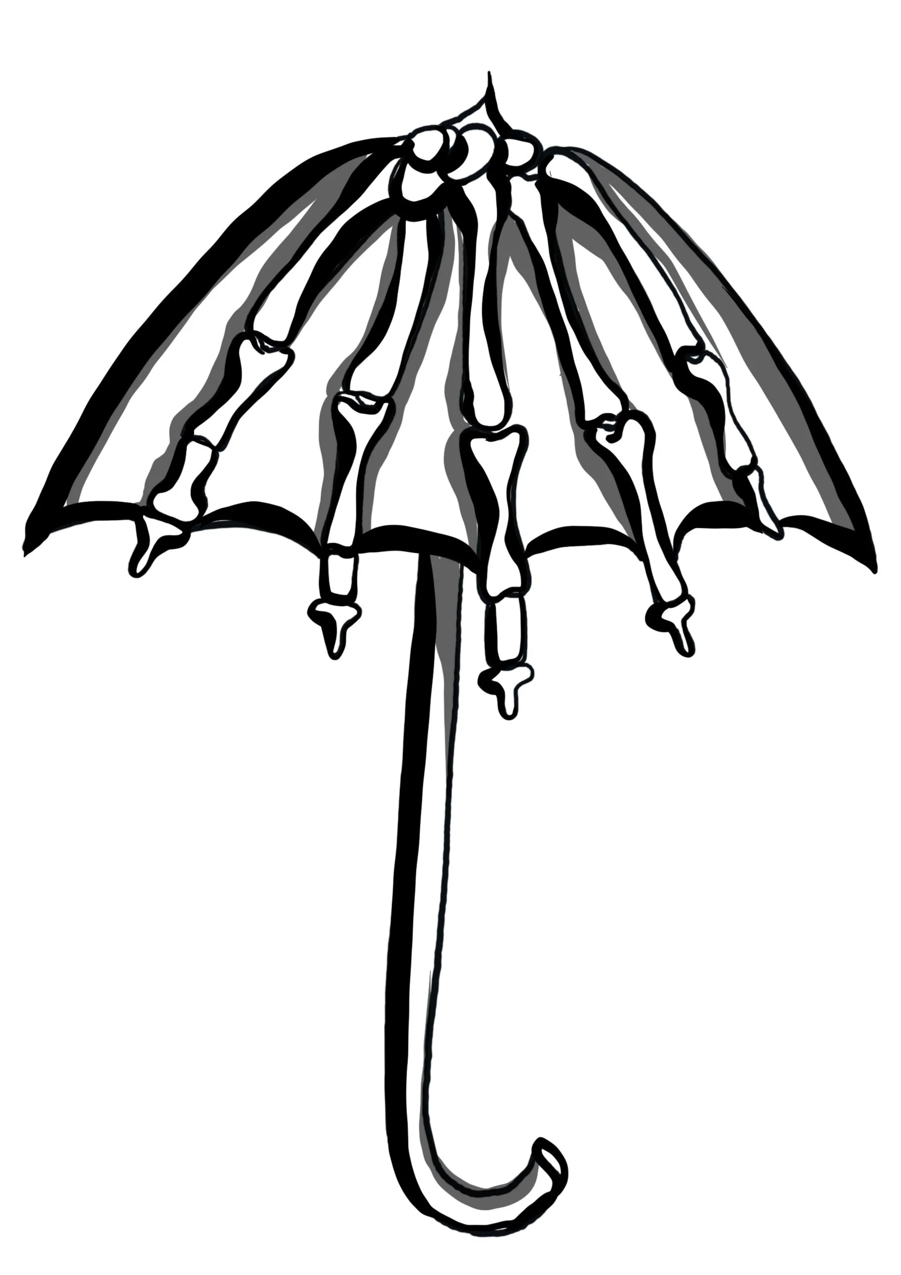 IMG_6918.png