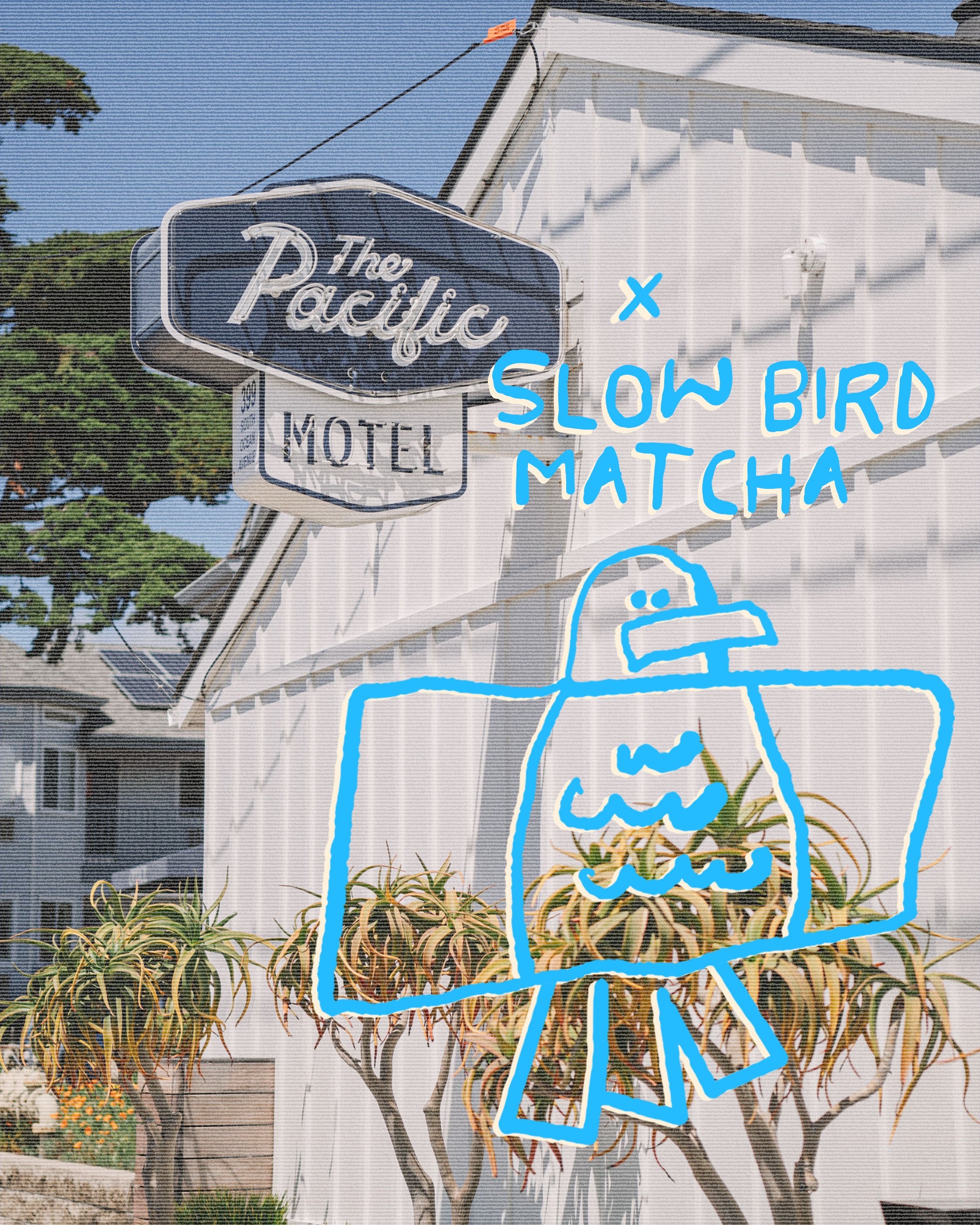 slowbird matcha and coffee shop logo, in collaboration with the pacific motel in cayucos, ca
