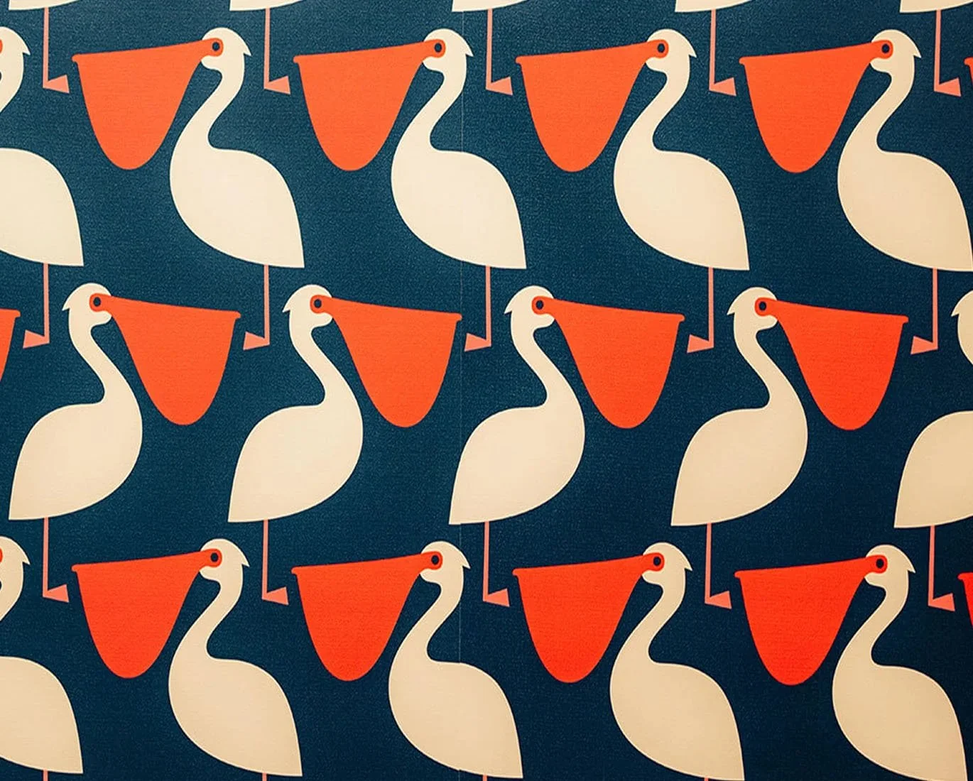 best funky wallpaper at the best matcha and coffee shop in cayucos,ca. slowbird matcha