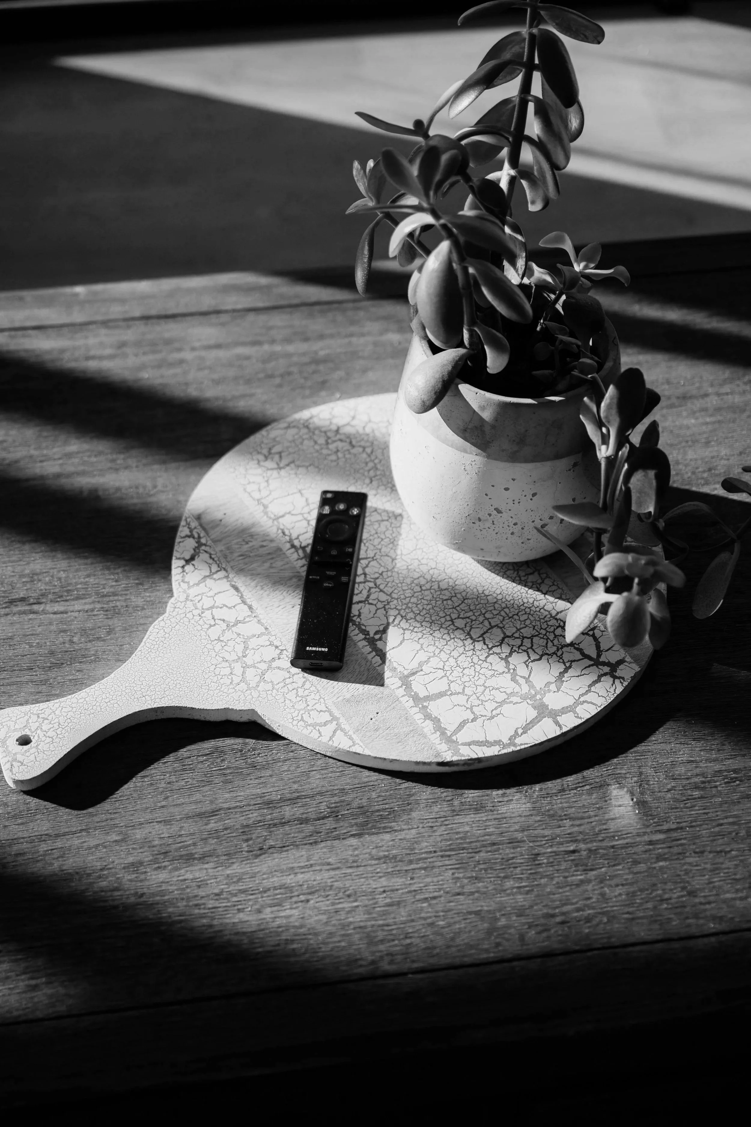 Black and white photo of a potted succulent plant on a round, patterned table with a TV remote control. Sunlight creates shadows across the scene.