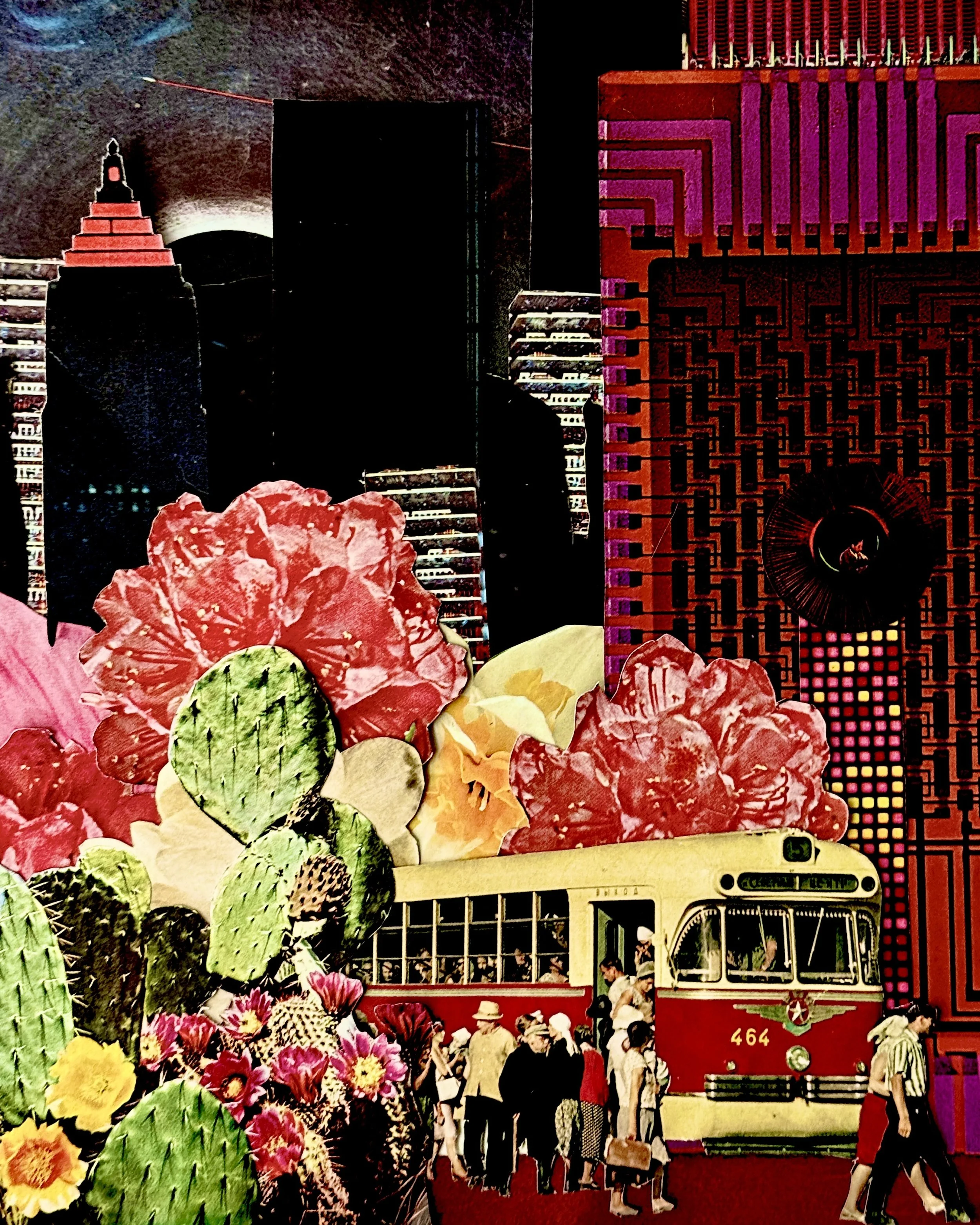 City Safari