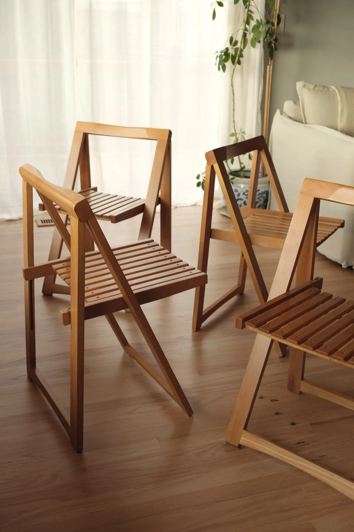 Four wooden folding chairs in a living room on a wood floor, with a couch, curtains, and a potted plant in the background.