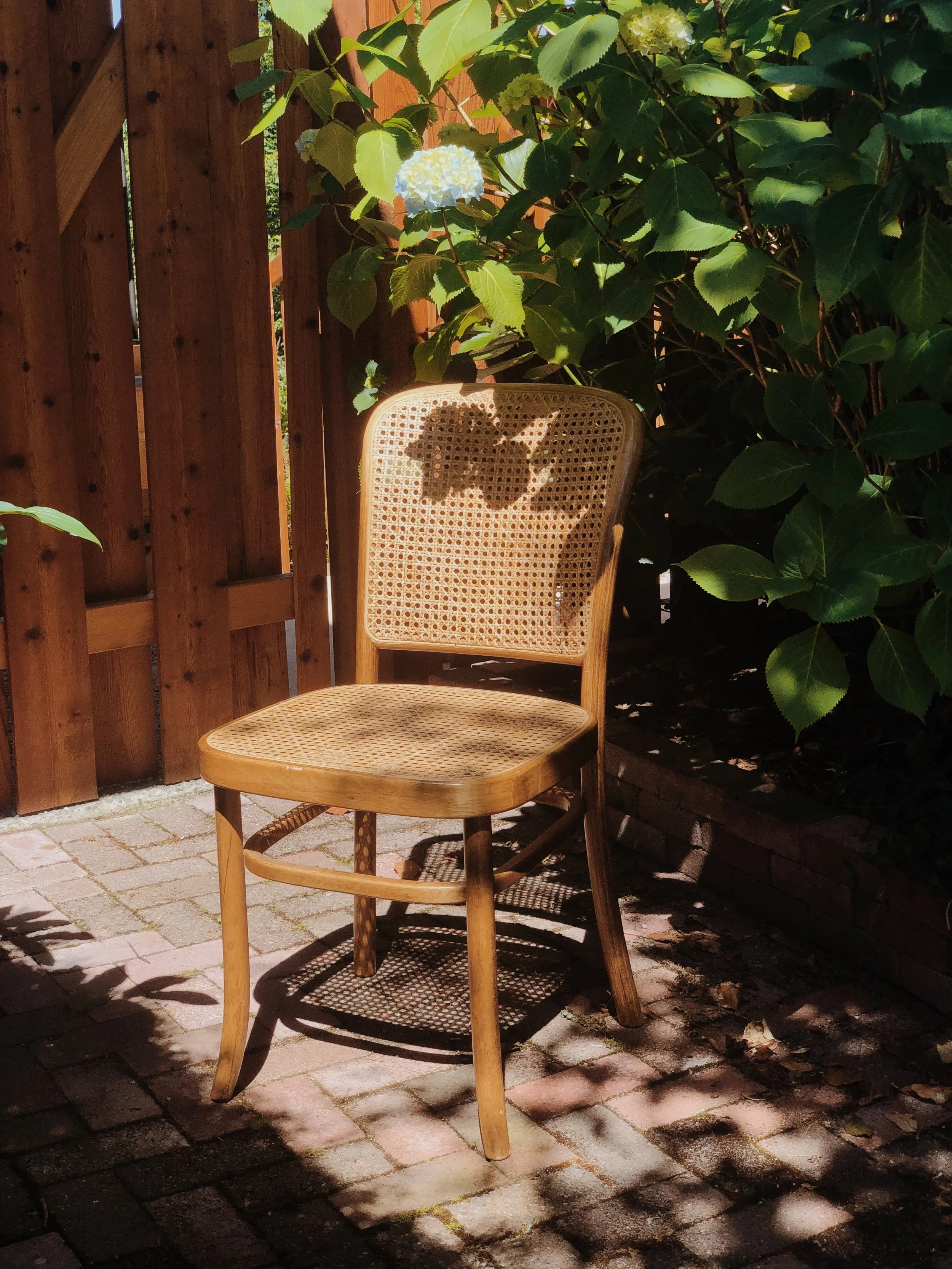 A wooden chair with a woven cane back and seat is placed on a brick patio next to a wooden fence and lush green leafy plants with white hydrangea flowers. Sunlight creates shadows on the chair and ground.