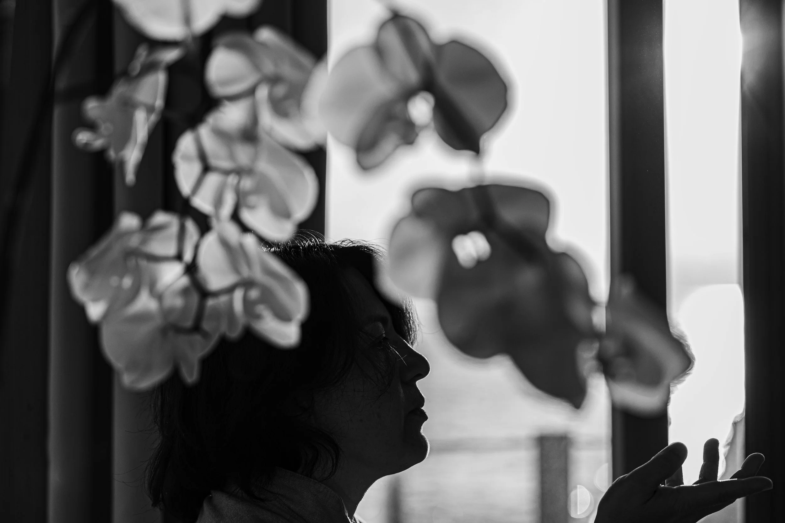 Profile of a woman looking through a window, with flowers on the window sill, in black and white.