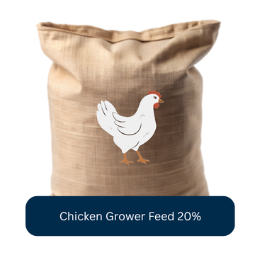 Chicken Starter Feed 20%