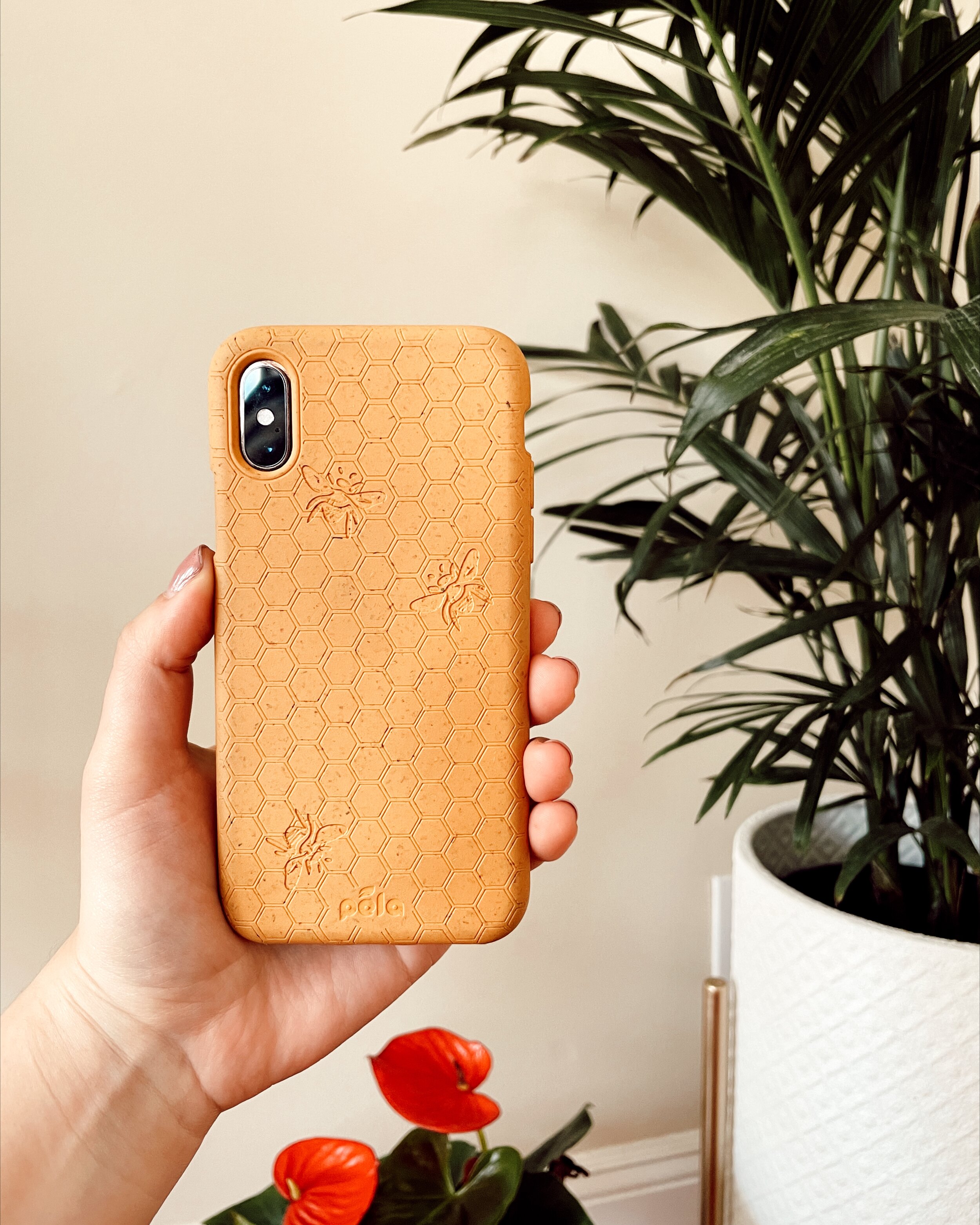 Compostable Phone Case