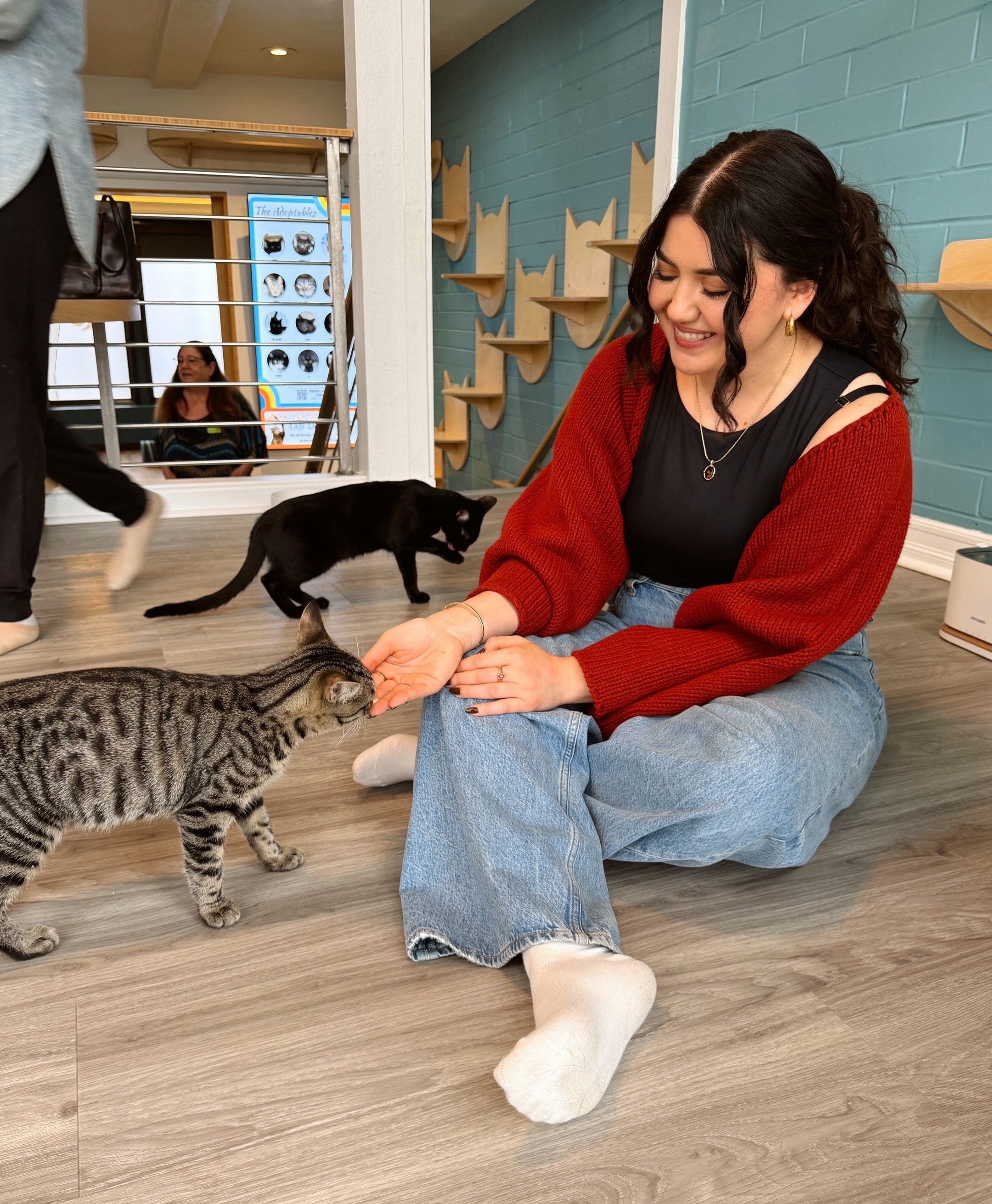 Talk about a cute and cozy activity to do in LA 🥹😽💗 we really could&rsquo;ve been here for hours playing with all the precious cats and kittens! 

There are about 3 million stray cats in Los Angeles and the @catcafelounge is on a mission to help l